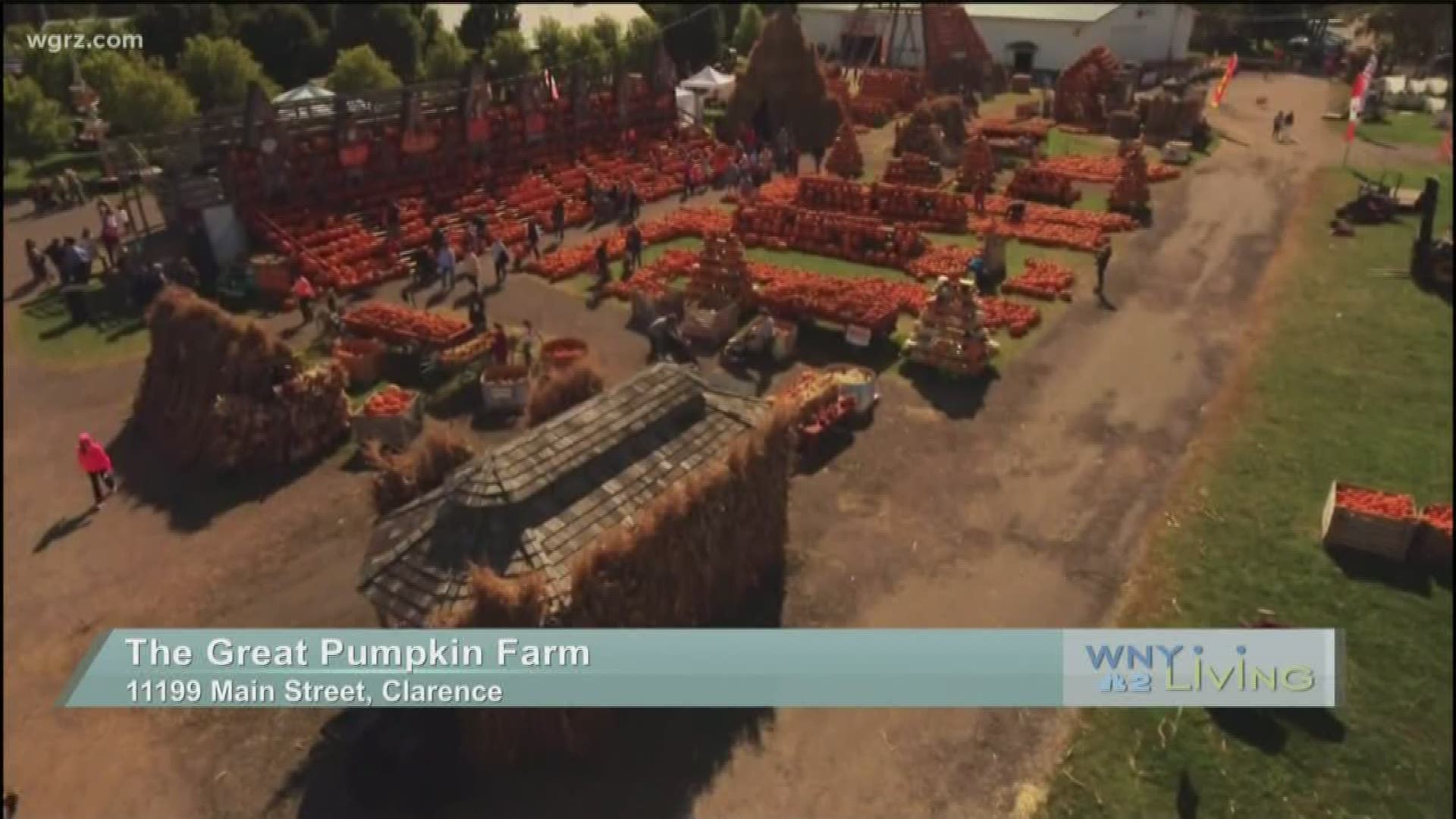 September 14 - The Great Pumpkin Farm