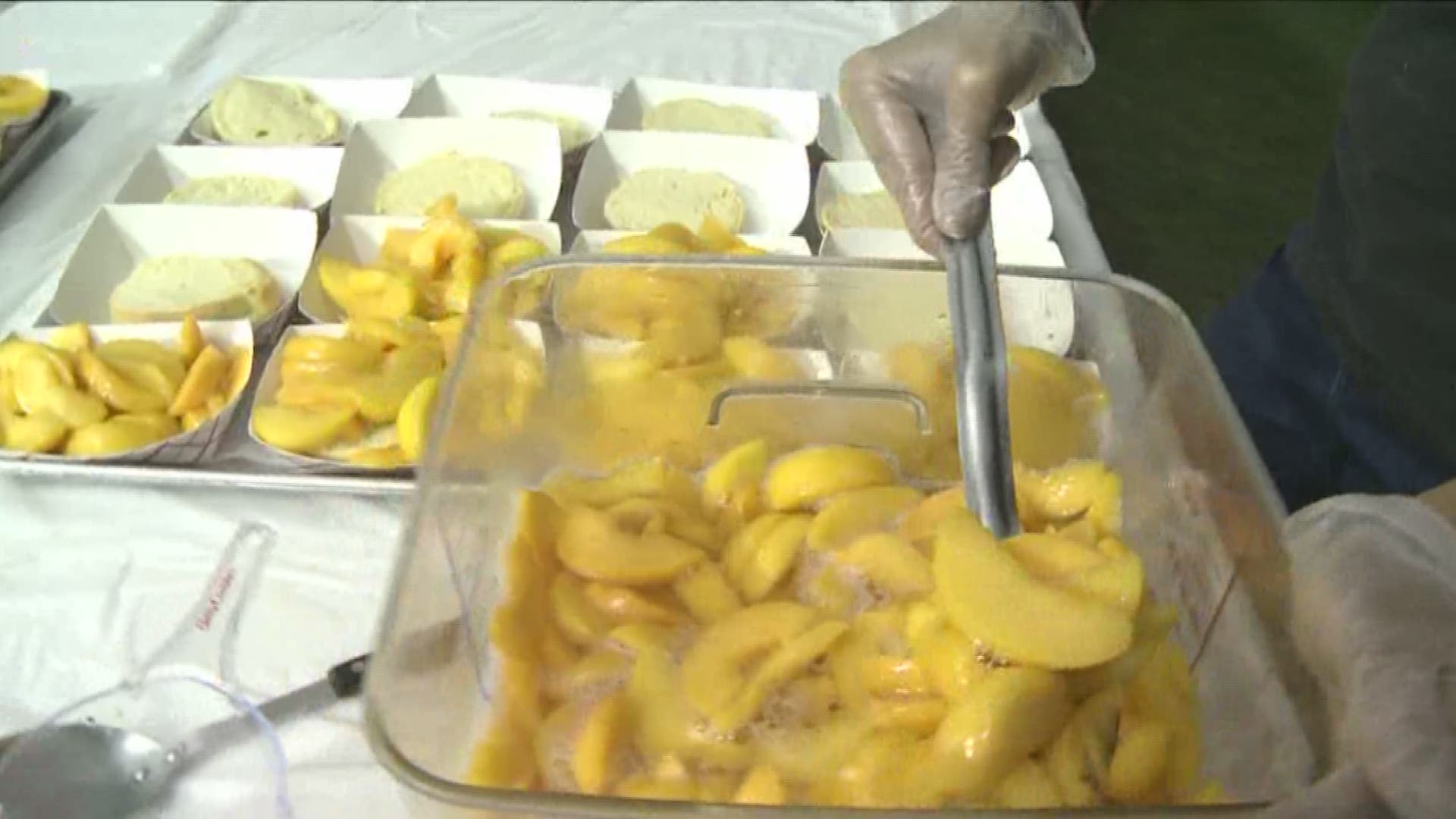 61st annual Niagara Co. Peach Fest this weekend