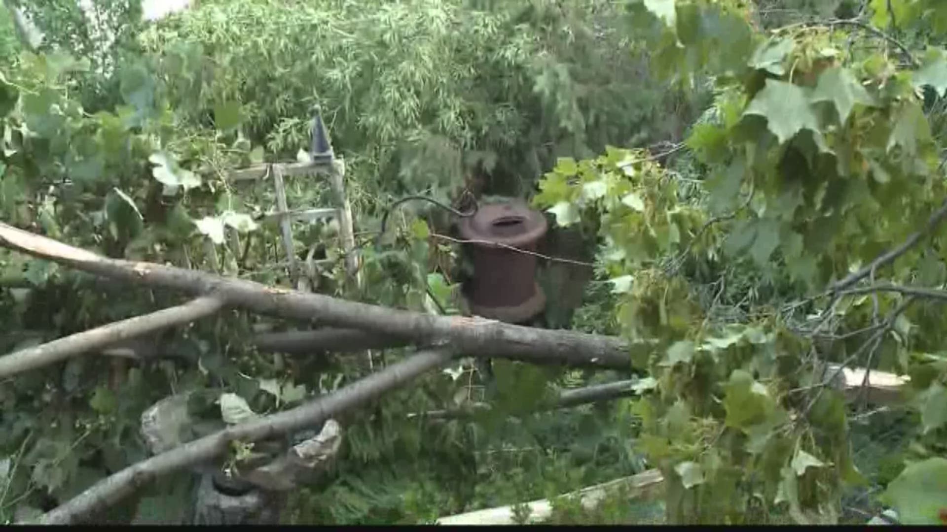 Cleanup Underway In Hamburg