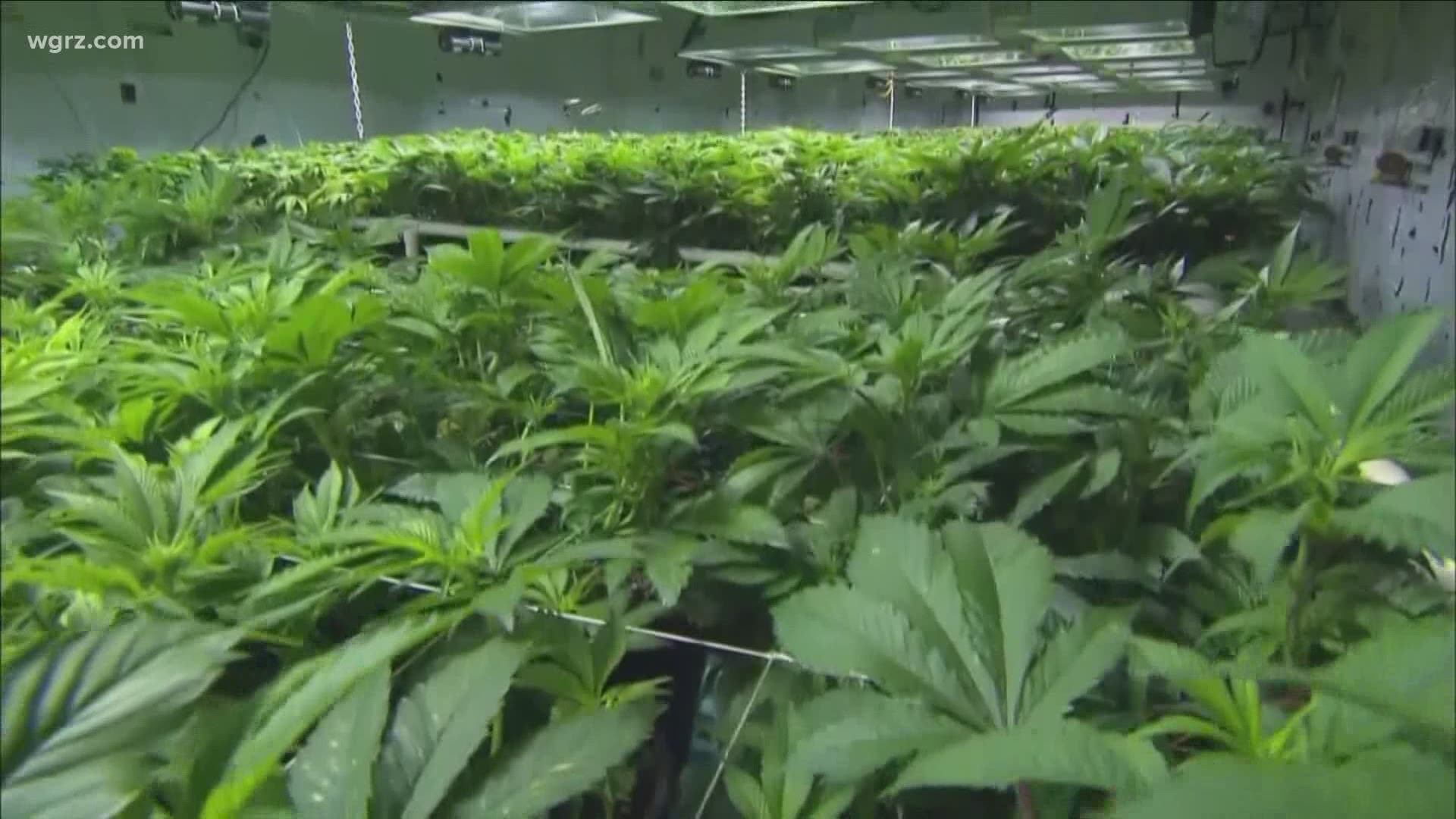 Lawmakers in Albany say they're extremely close to a deal on legalizing recreational marijuana.
But the State Parent Teacher Association is standing firm against it.