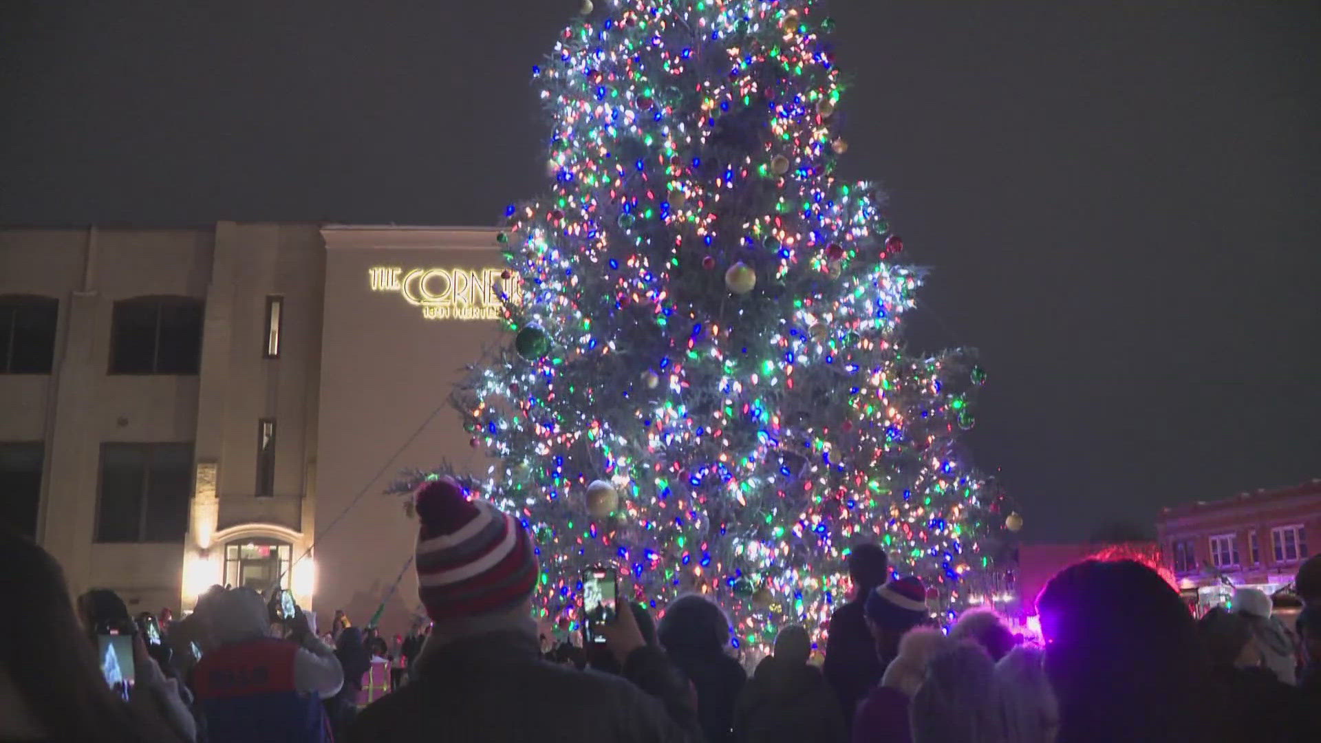 Hertel Avenue Business Association holds annual tree lighting ceremony