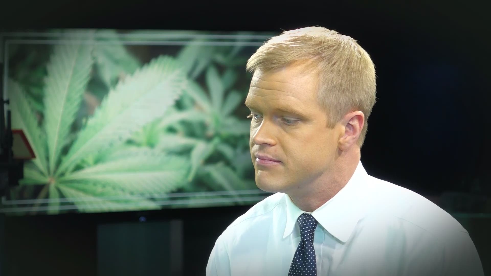 We sat down with Crystal Peoples-Stokes, member of the state Assembly, Jodie Altman, campus director of Kids Escaping Drugs, and Dr. Laszlo Mechtler, neurologist and Medical Director at Dent Neurologic Institute, to get their take on legalized recreational marijuana.