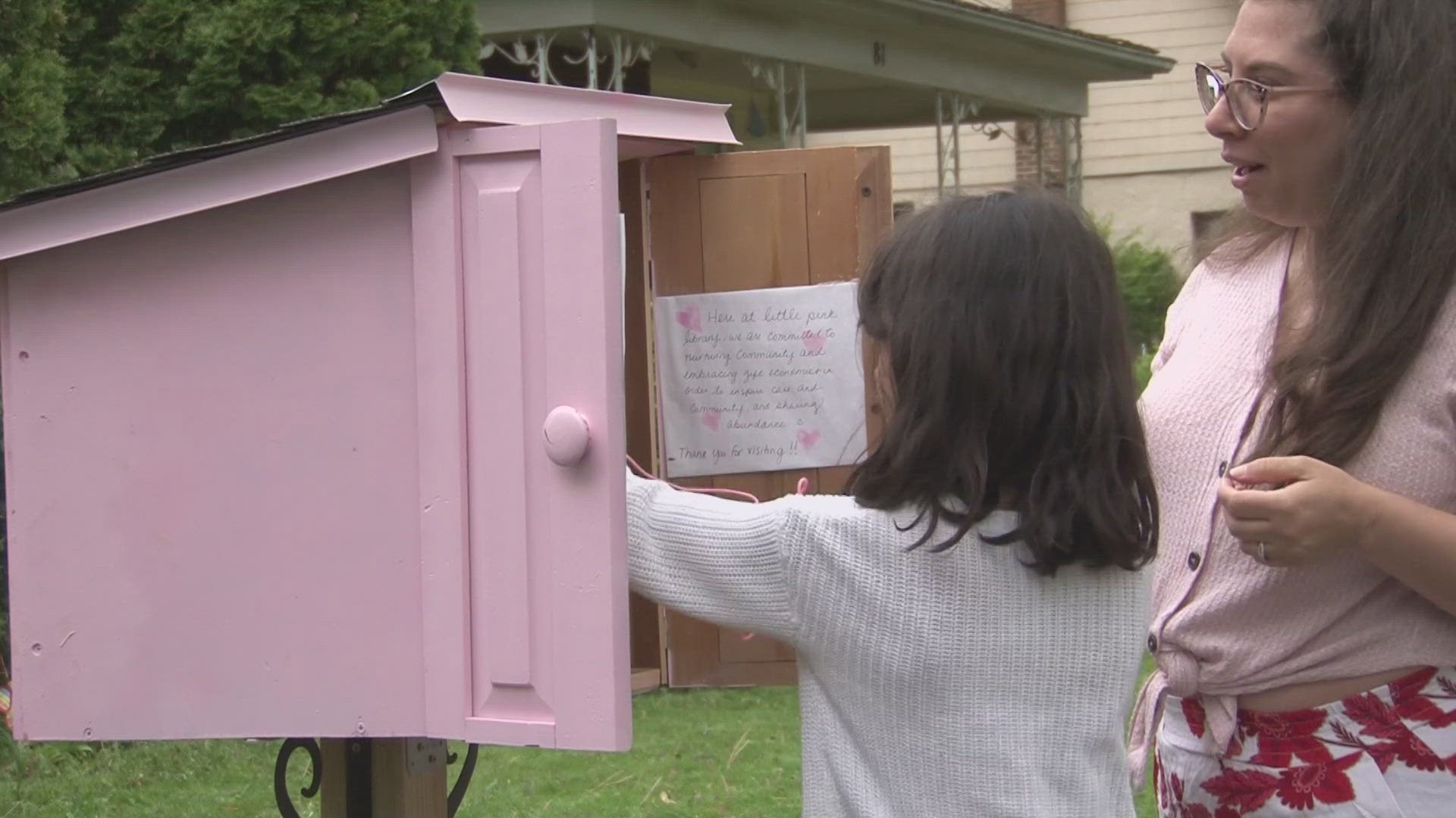Lockport's Little Pink Library 6/6/25
