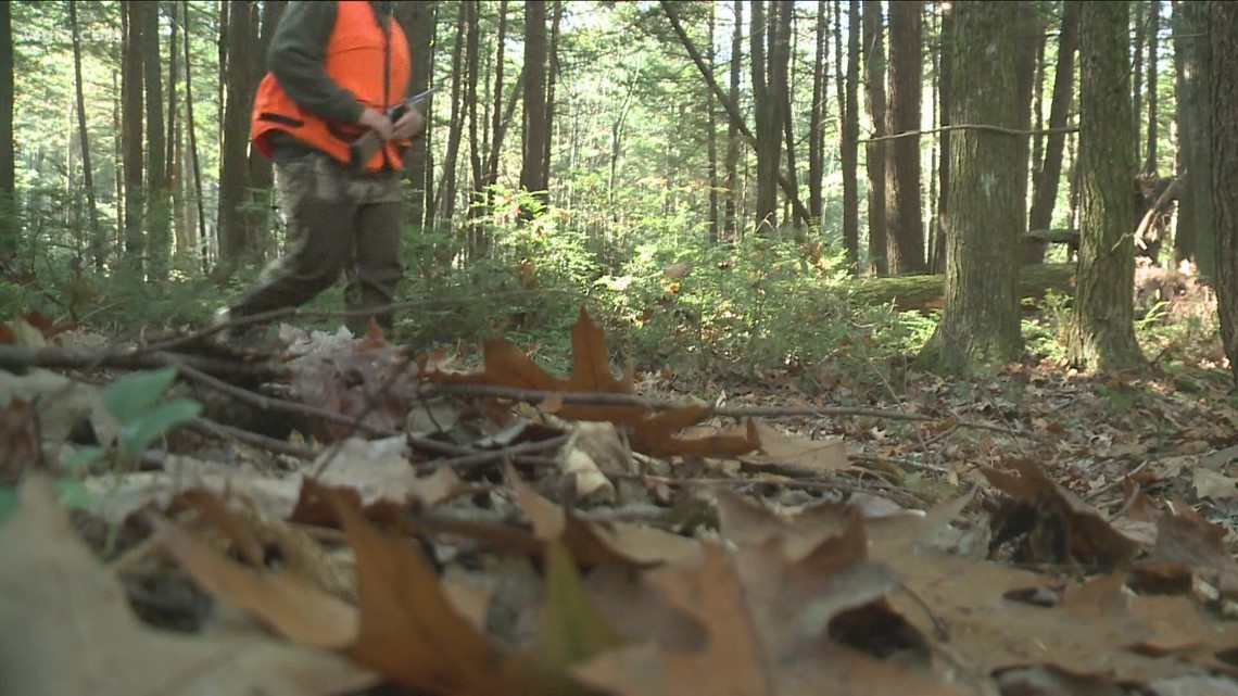 DEC announces start of small game season for hunters - Vimarsana News
