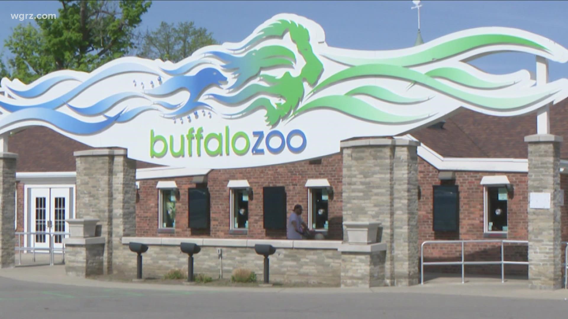 3rd Grade class takes a trip to The Buffalo Zoo, for the first time