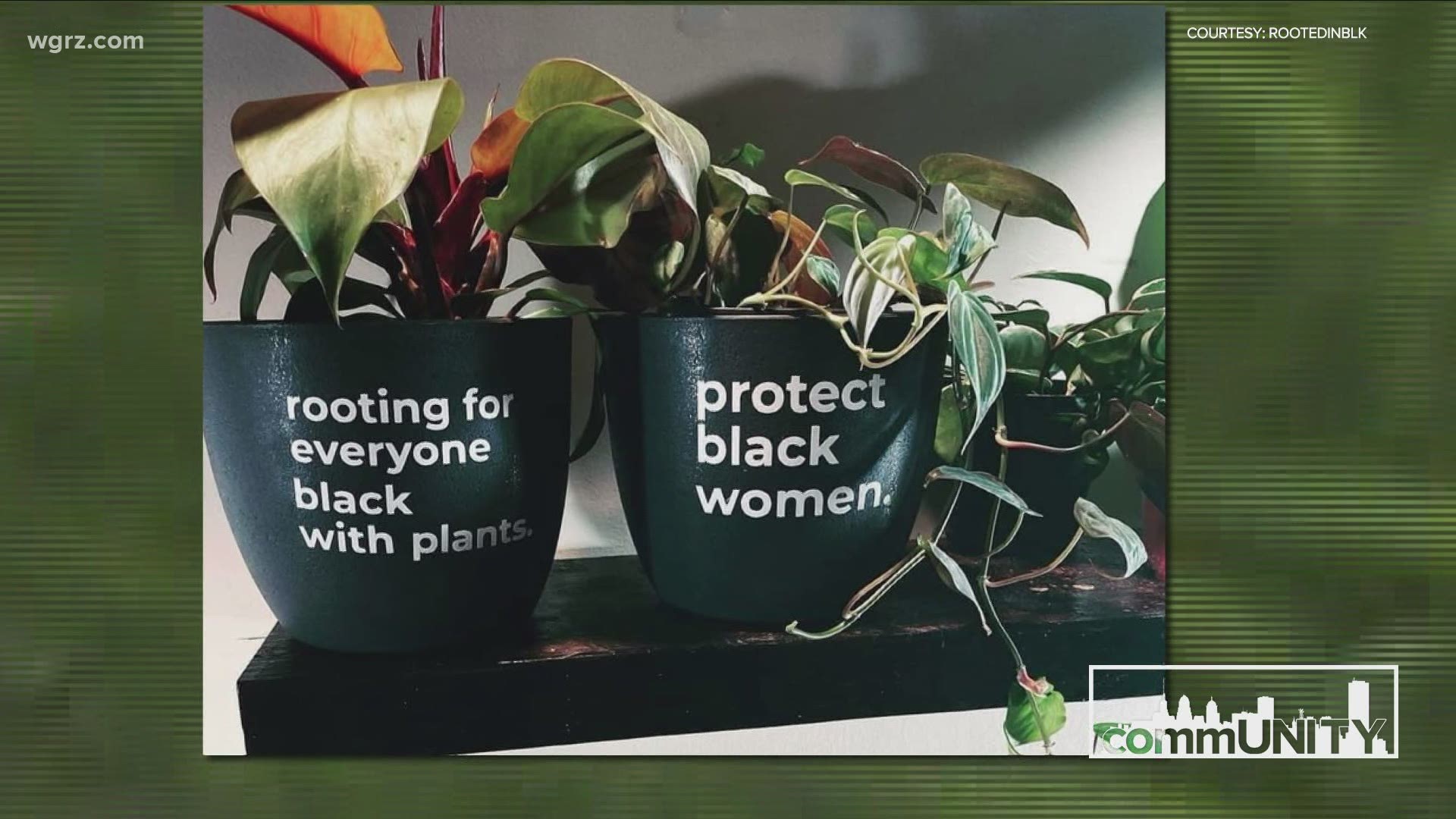 Credit one Buffalo woman for being curious and creative. An Instagram post with plant pots with messages that have a meaning is now a lucrative business.
