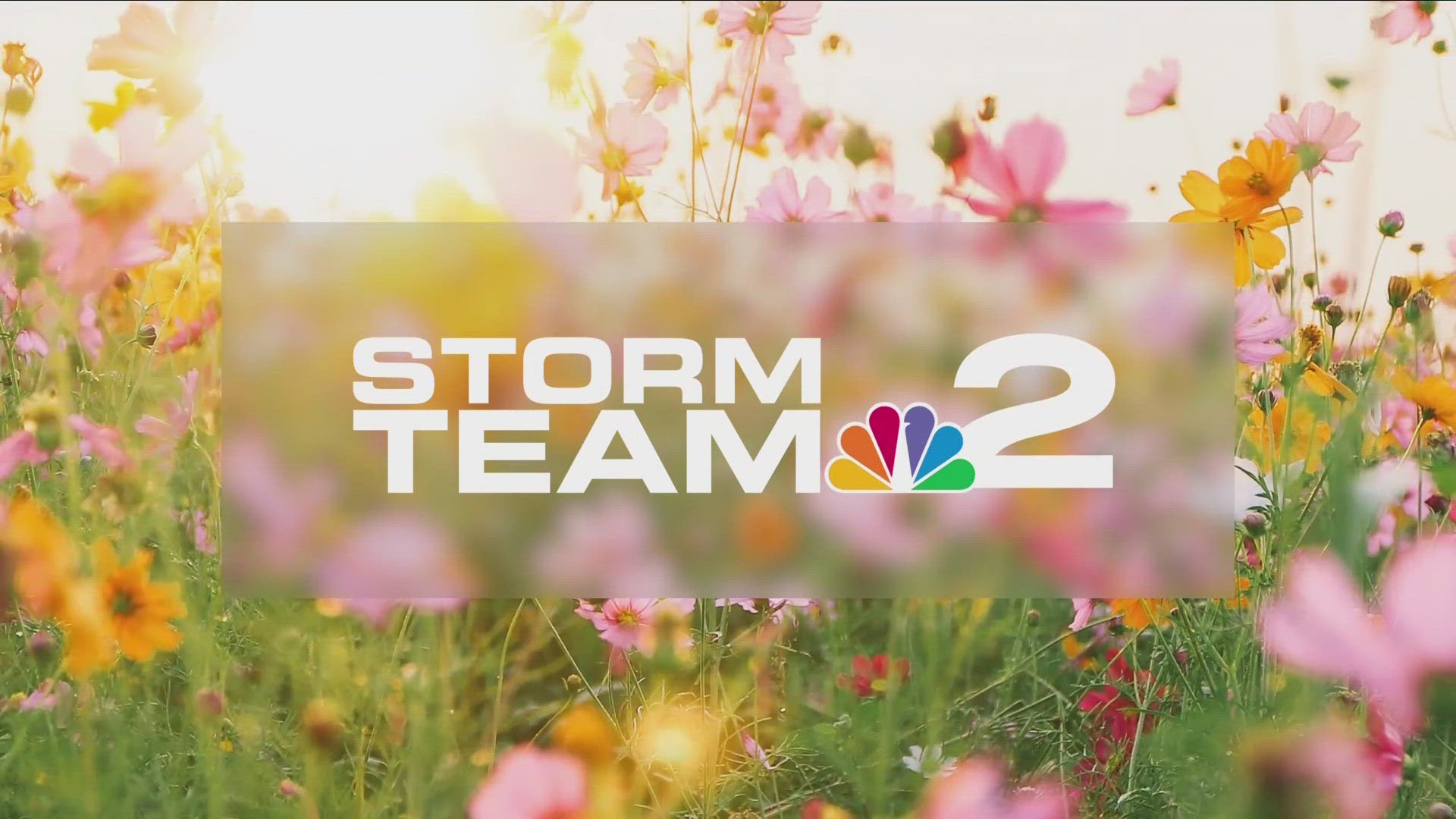 Midday Storm Team 2 Weather Forecast with Jennifer Stanonis 7/2/24