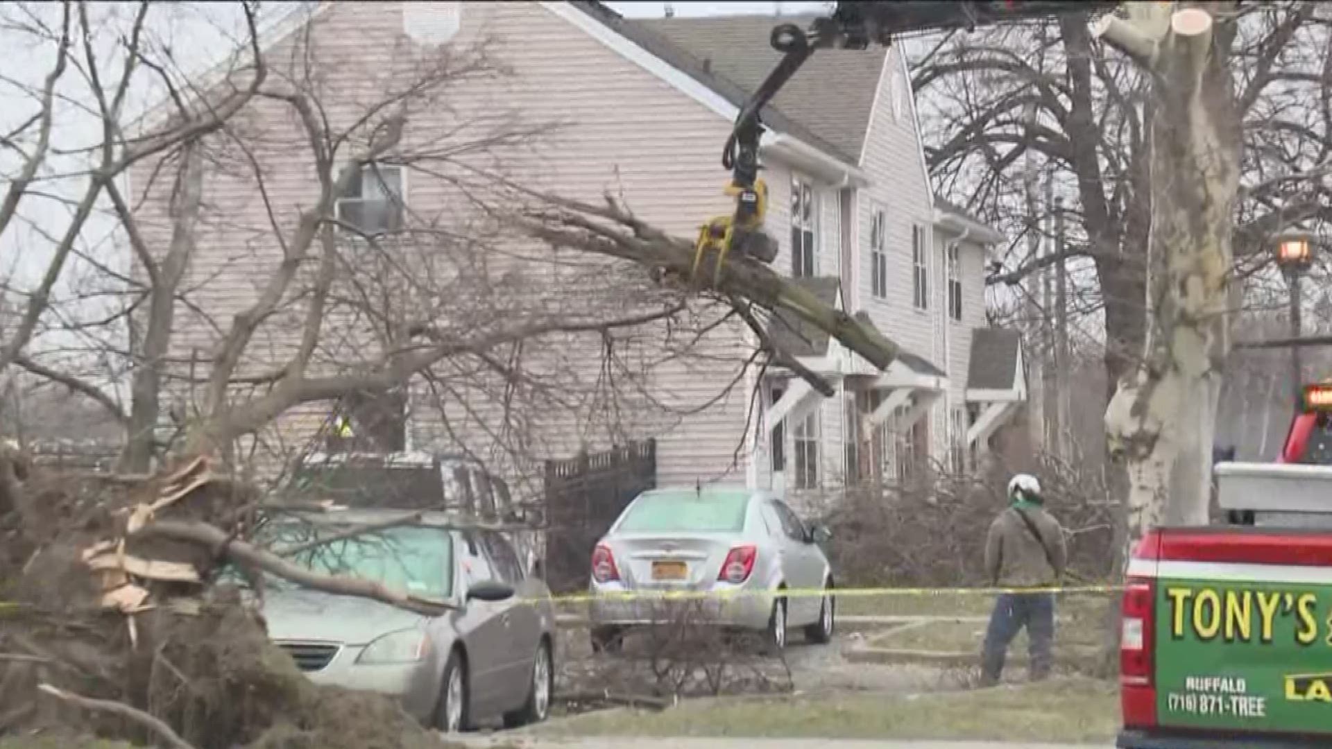 High winds bring down trees and power lines in WNY.