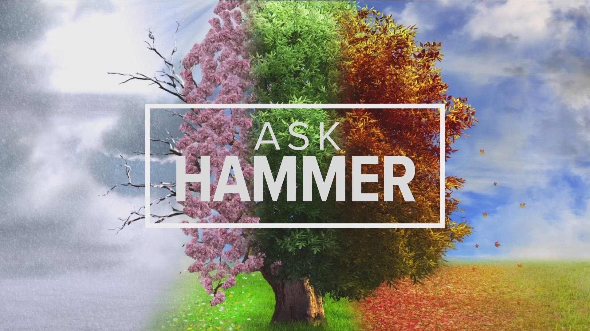 Ask Hammer: Answering your wacky weather-related questions