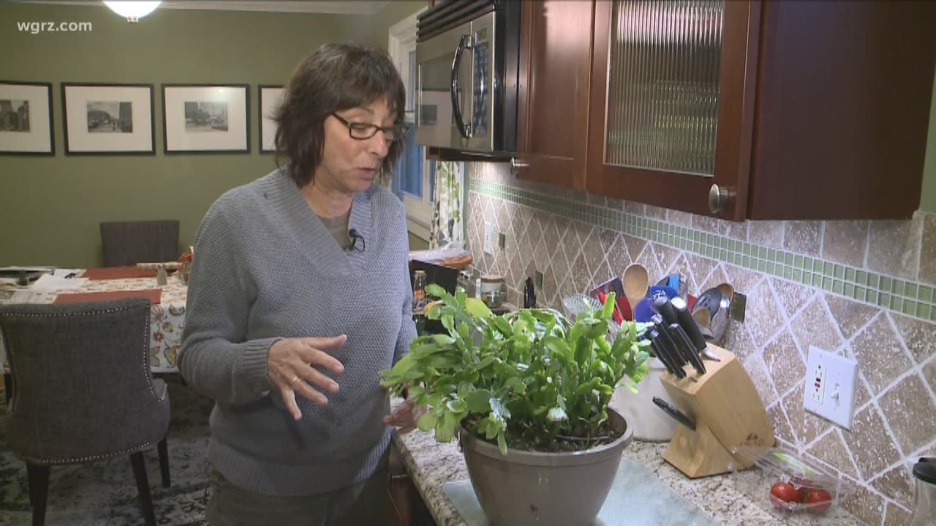 Instead of letting plants freeze outside, they could be inside blossoming. Jackie explains in this week's 2 The Garden.