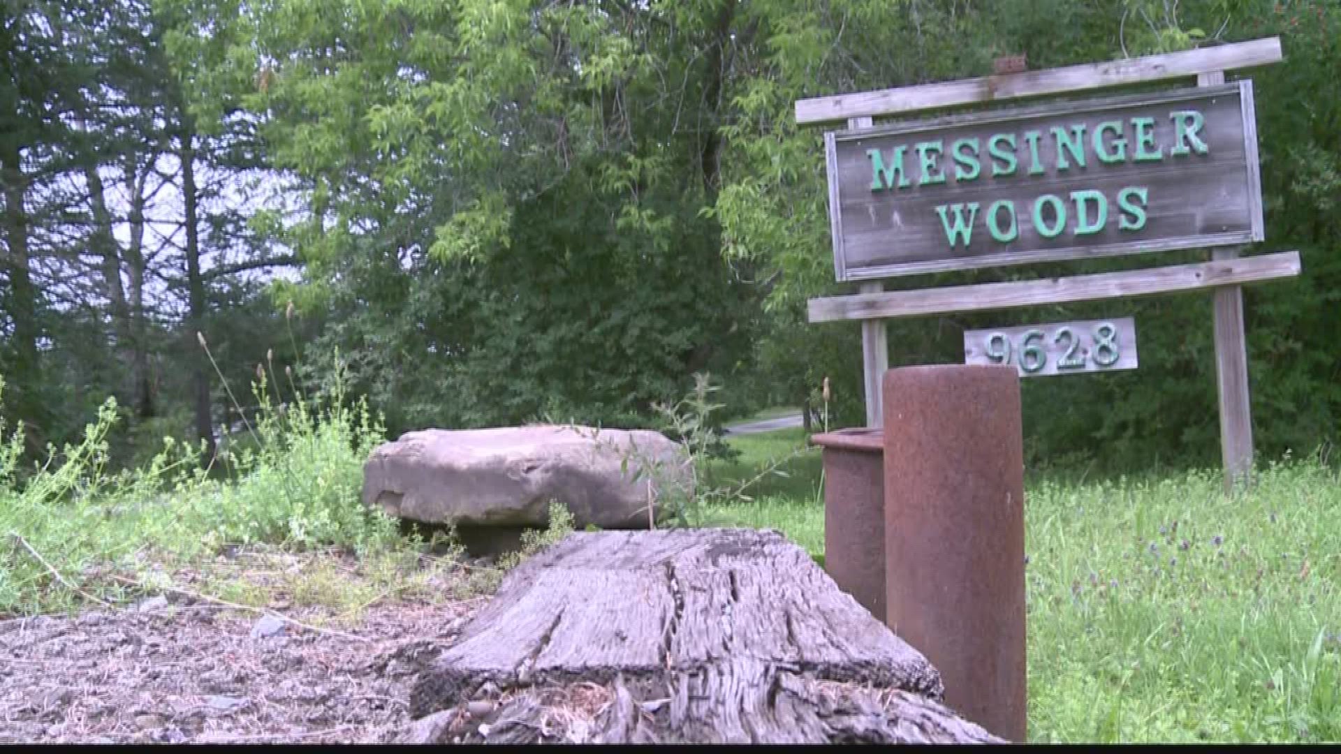 Messinger Woods in one of Western New York's most unique wildlife rehabilitation centers.  Terry Belke explains in this week's 2 the Outdoors segment.