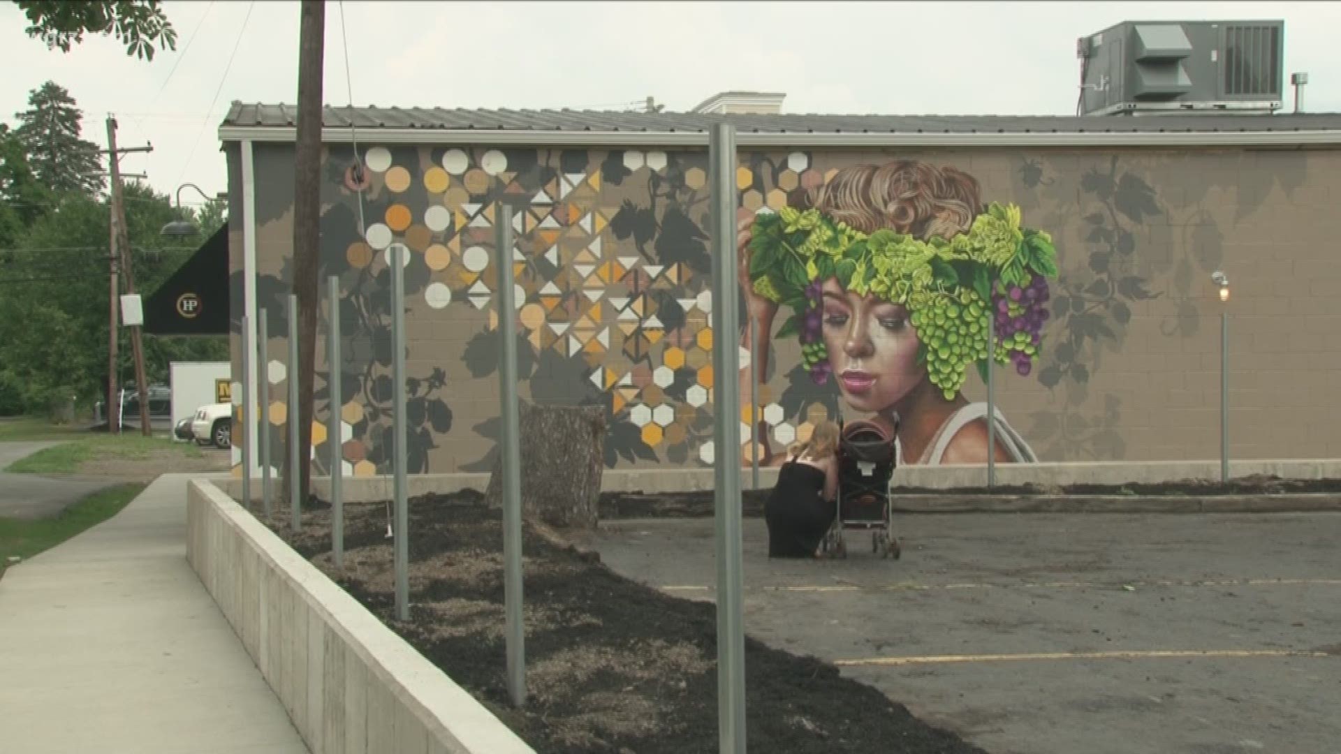 Battle Between Business Over Mural, Fence