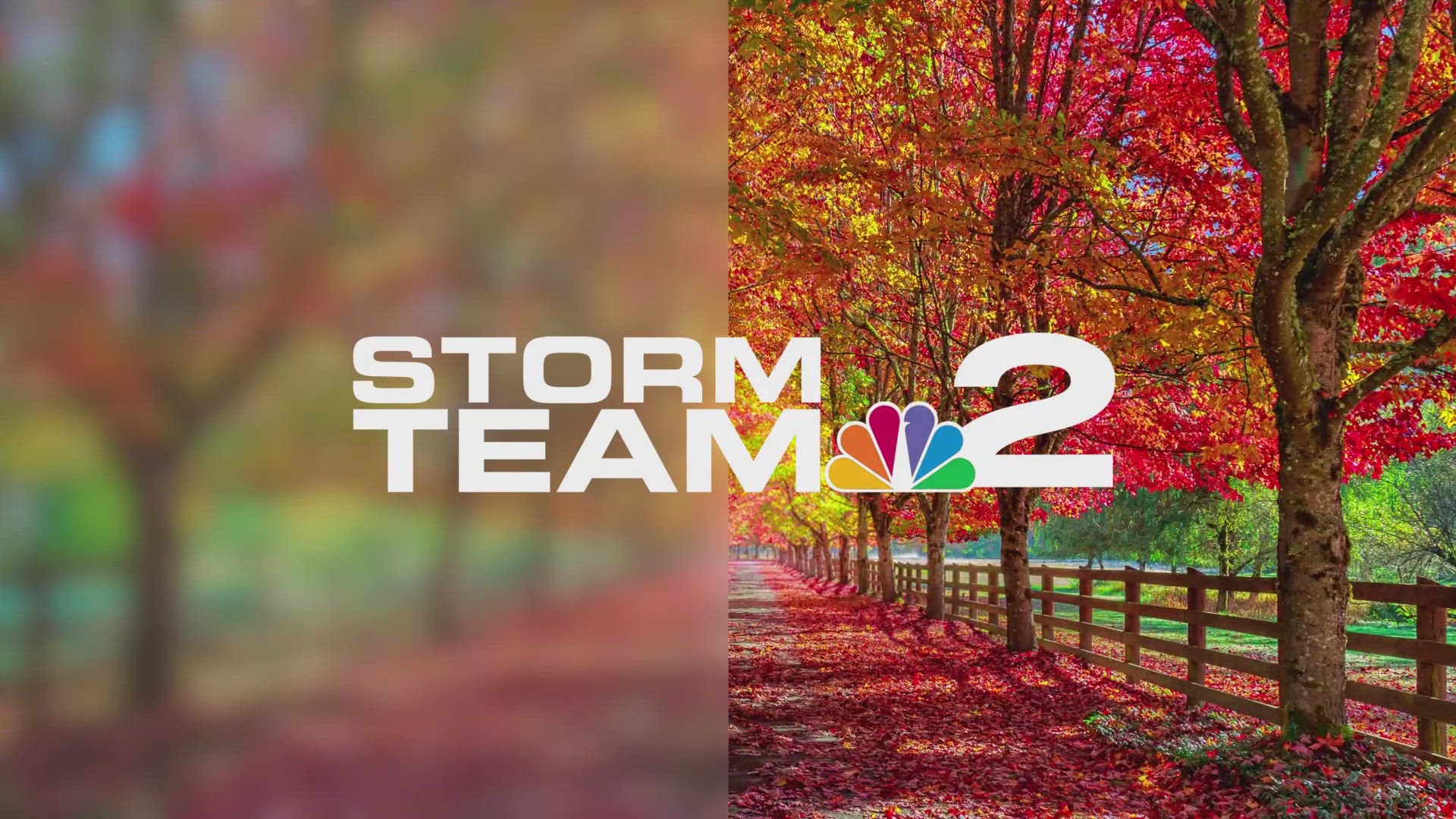 Midday Storm Team 2 Weather Forecast with Patrick Hammer 11/27/24