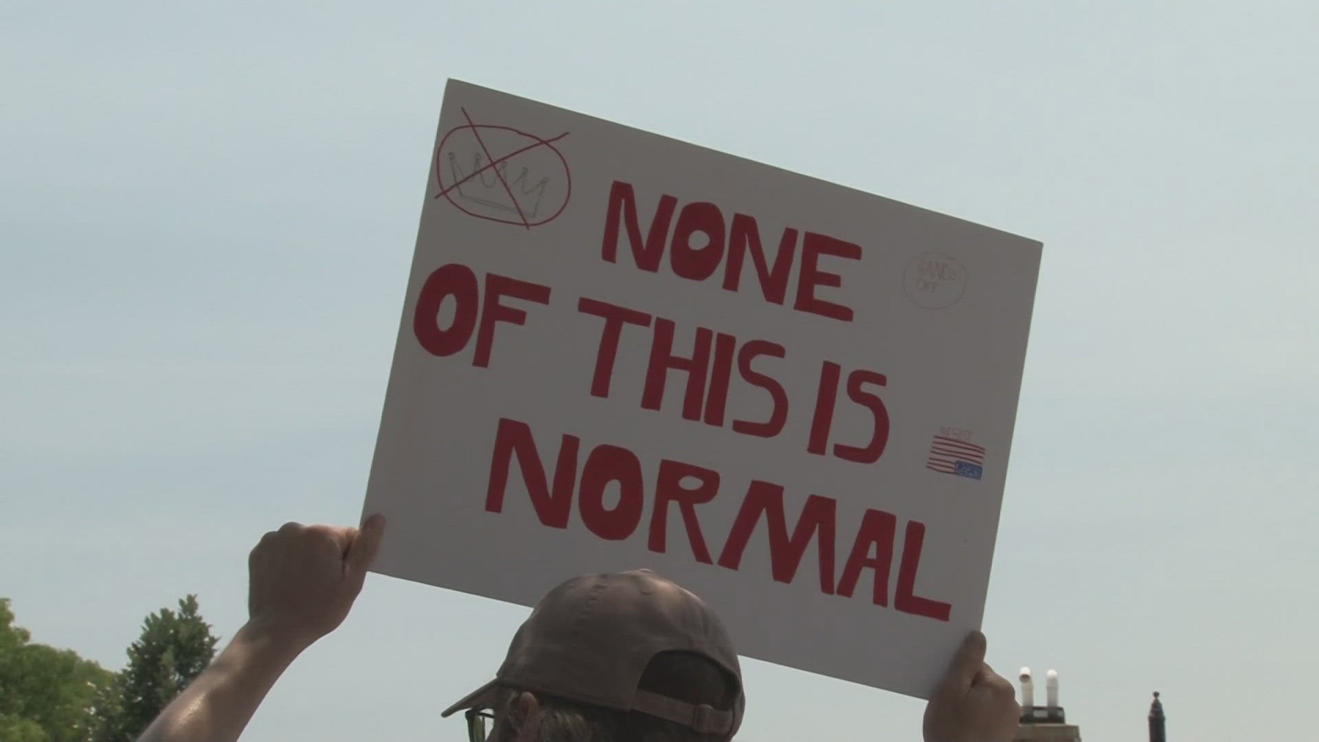 Hundreds gather in Batavia to protest Trump policies, asserting their First Amendment rights.