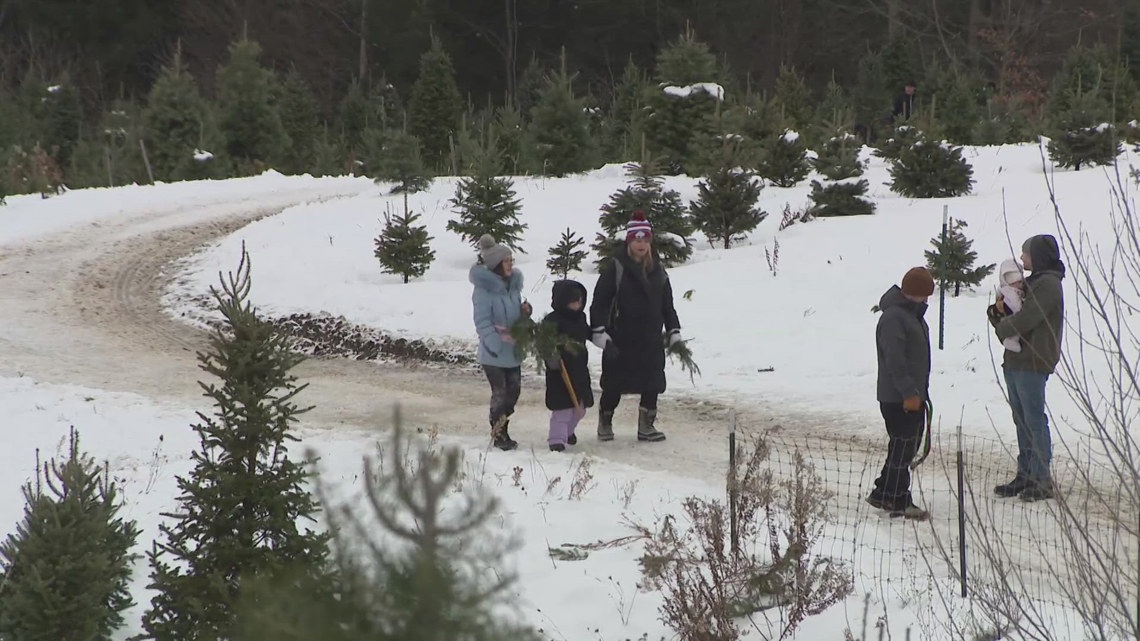 Families flock to Western New York tree farms to kick off Christmas season
