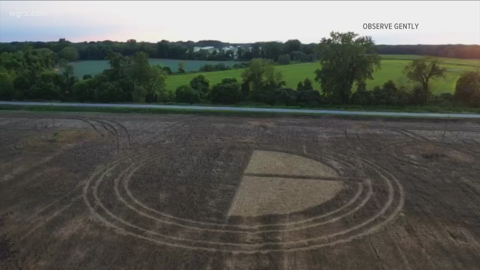 Crop circle pops up on Genesee County farm
