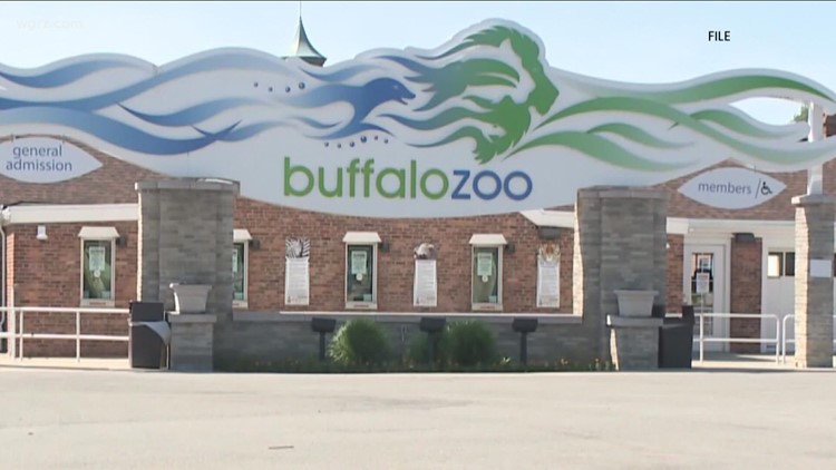 Boo Bash returns to Buffalo Zoo