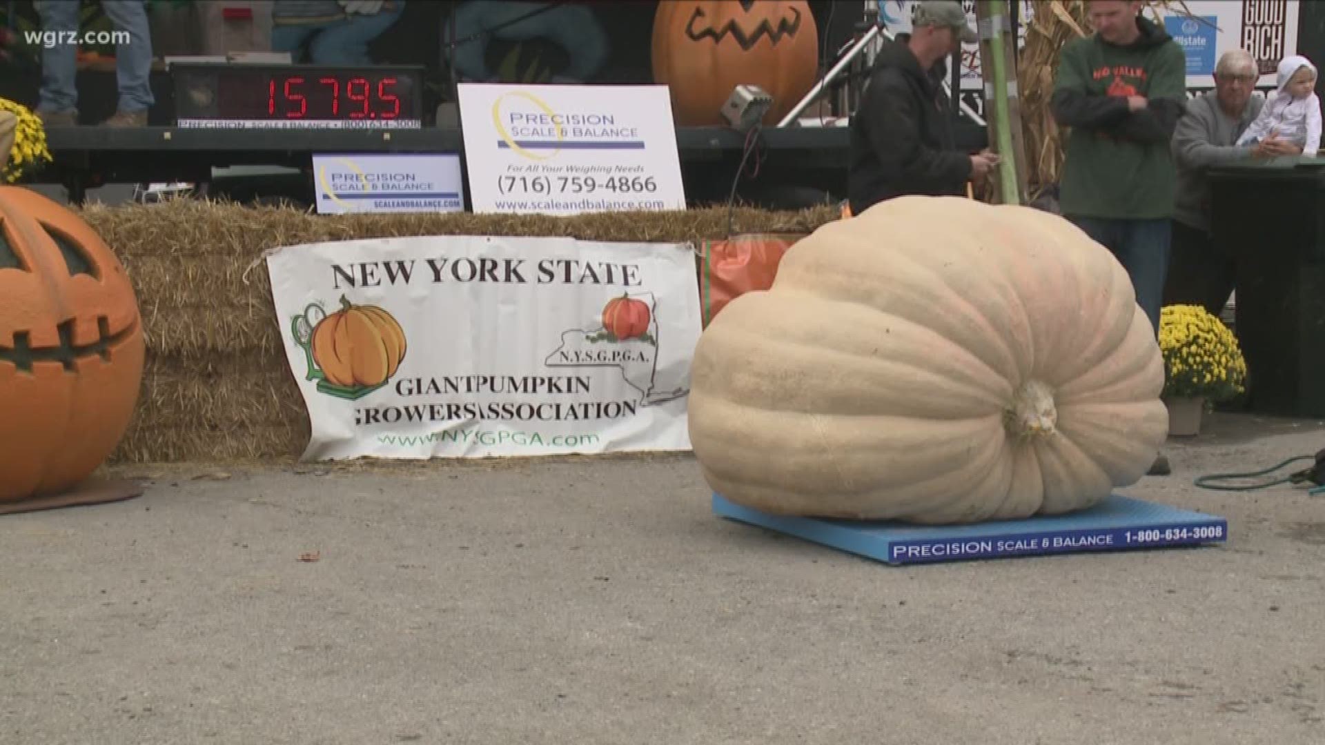 Pumpkin breaks New York State record