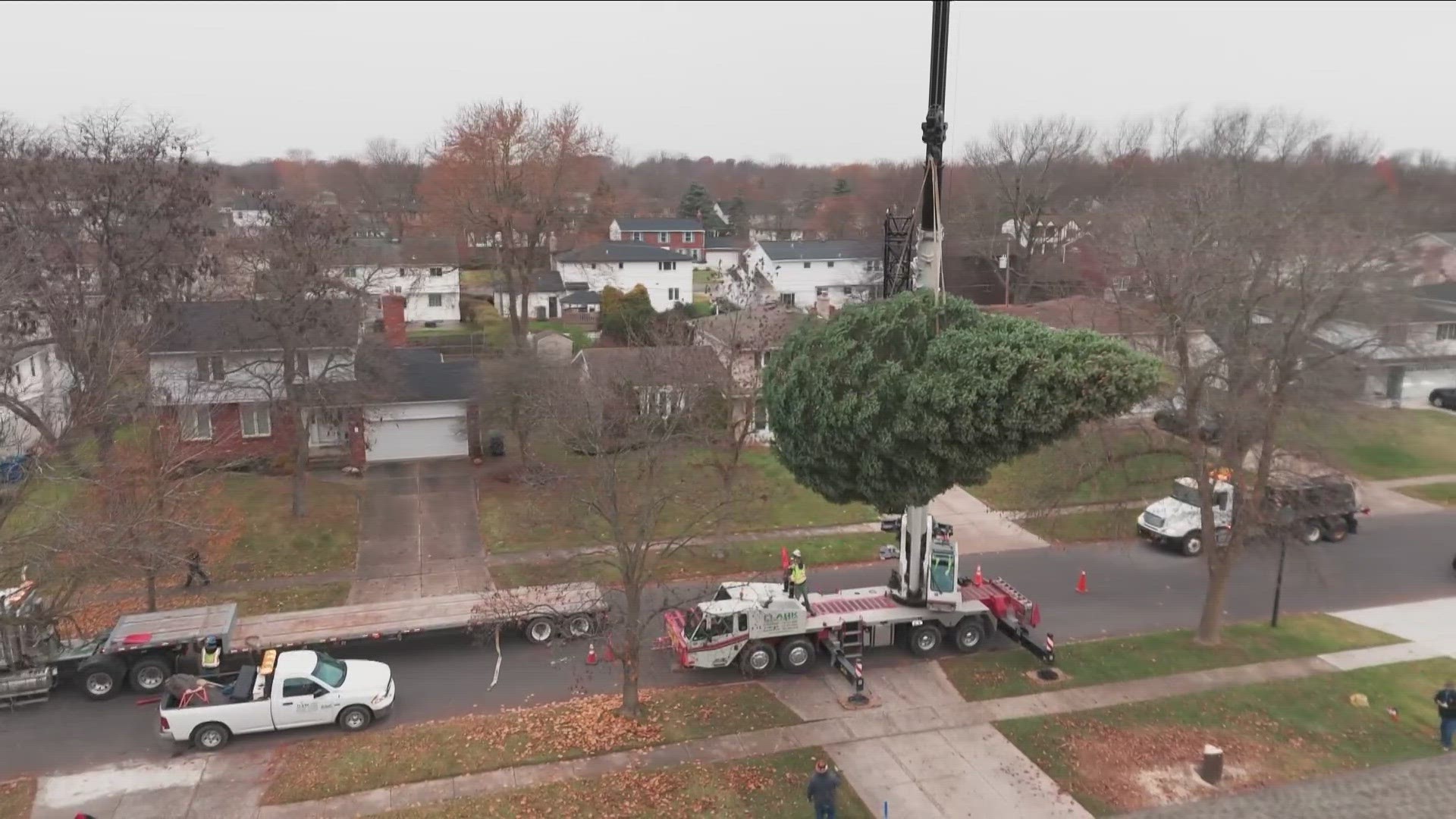 Williamsville family donates tree to Roswell Park tree lighting ceremony.