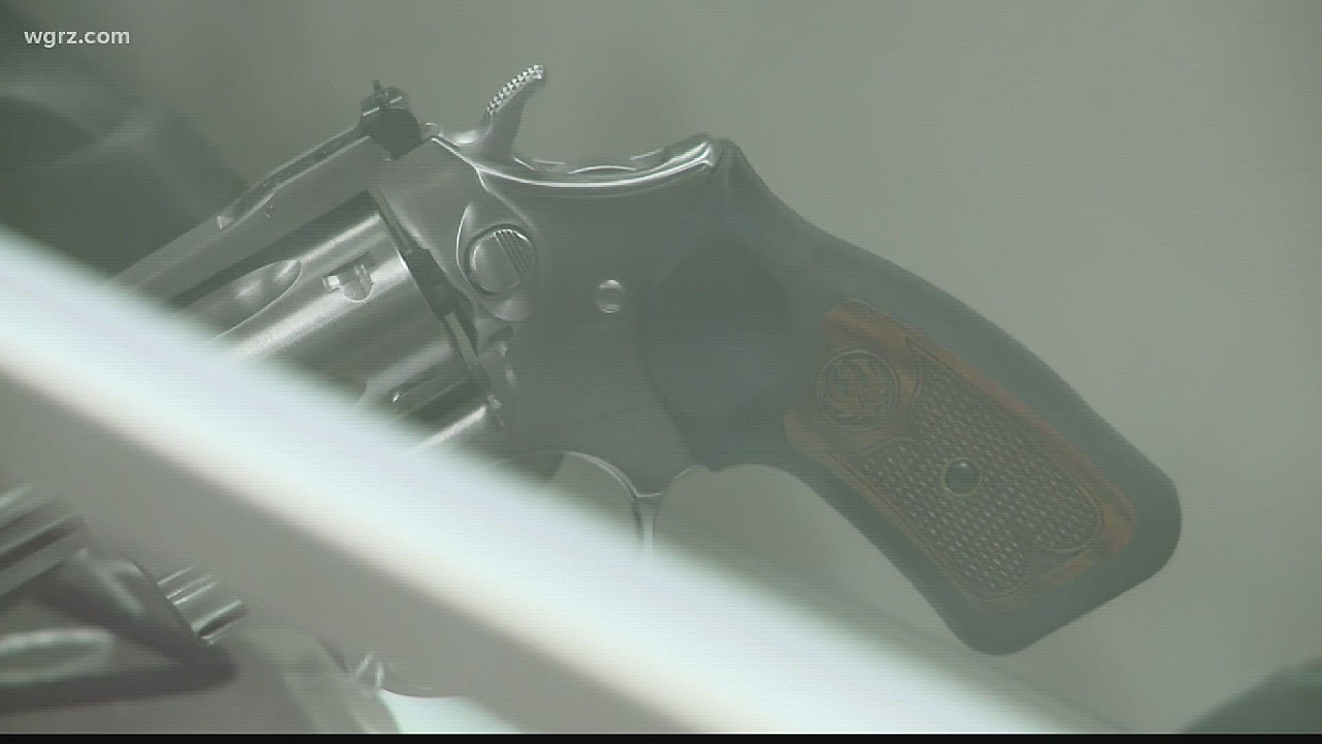 Lawmakers Plans To Introduce Gun Seizure Bill
