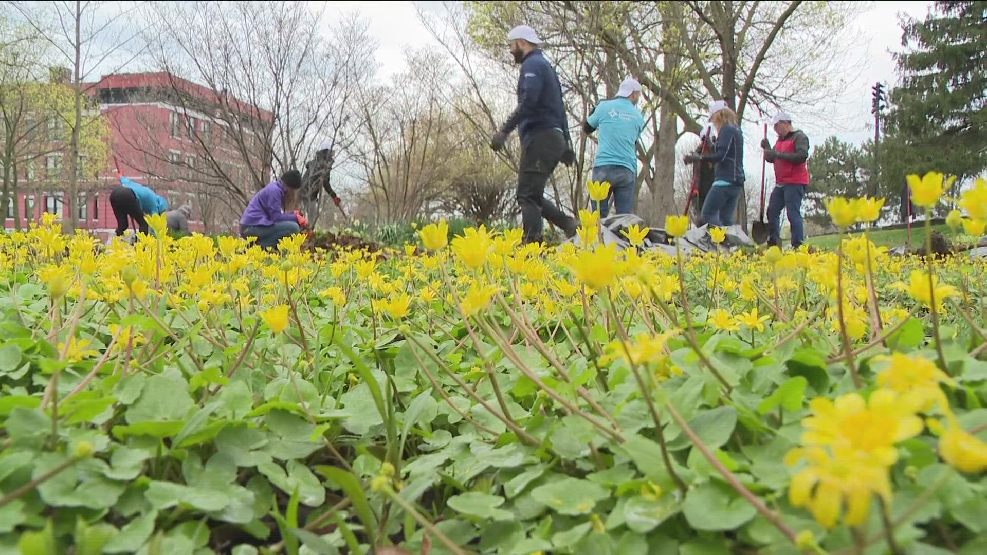 Delaware North volunteers clean up MLK park ahead of Earth Day