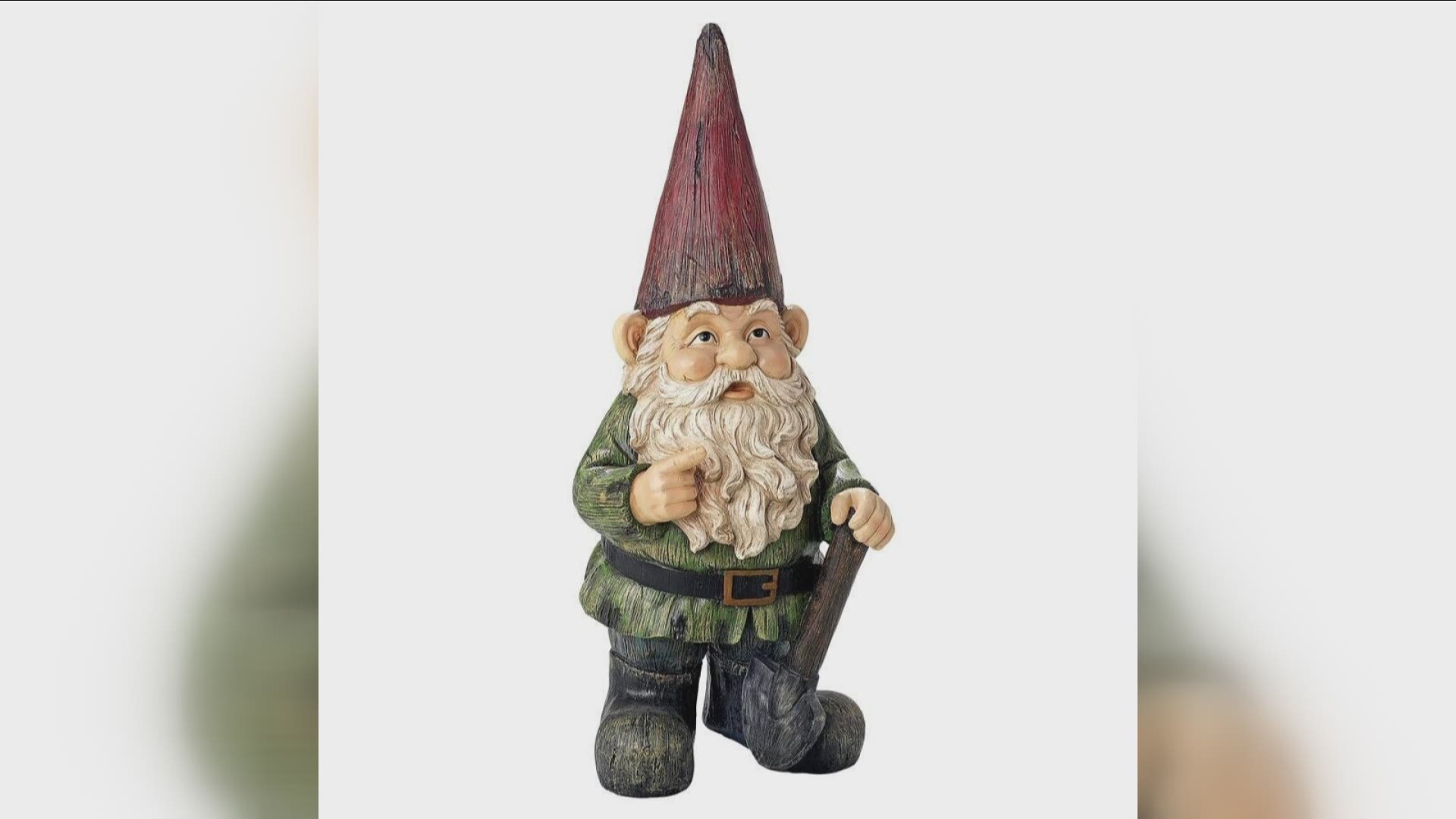 Erie County's 'Name the Gnome' contest