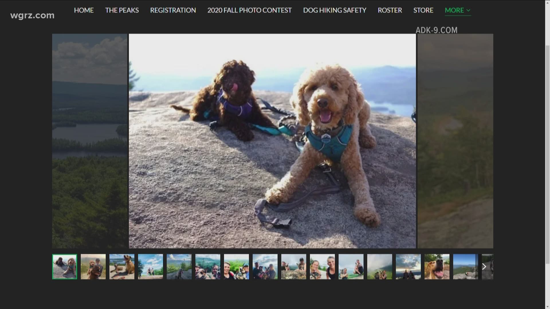 'ADK-9' challenge: hike with your dog