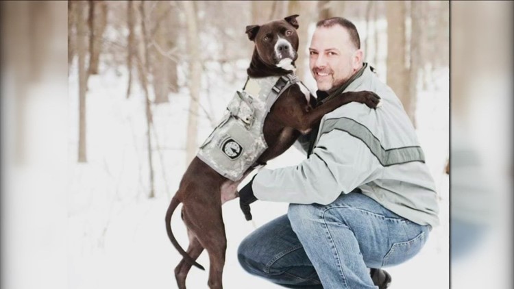 Pawsitive for Heroes helping veterans