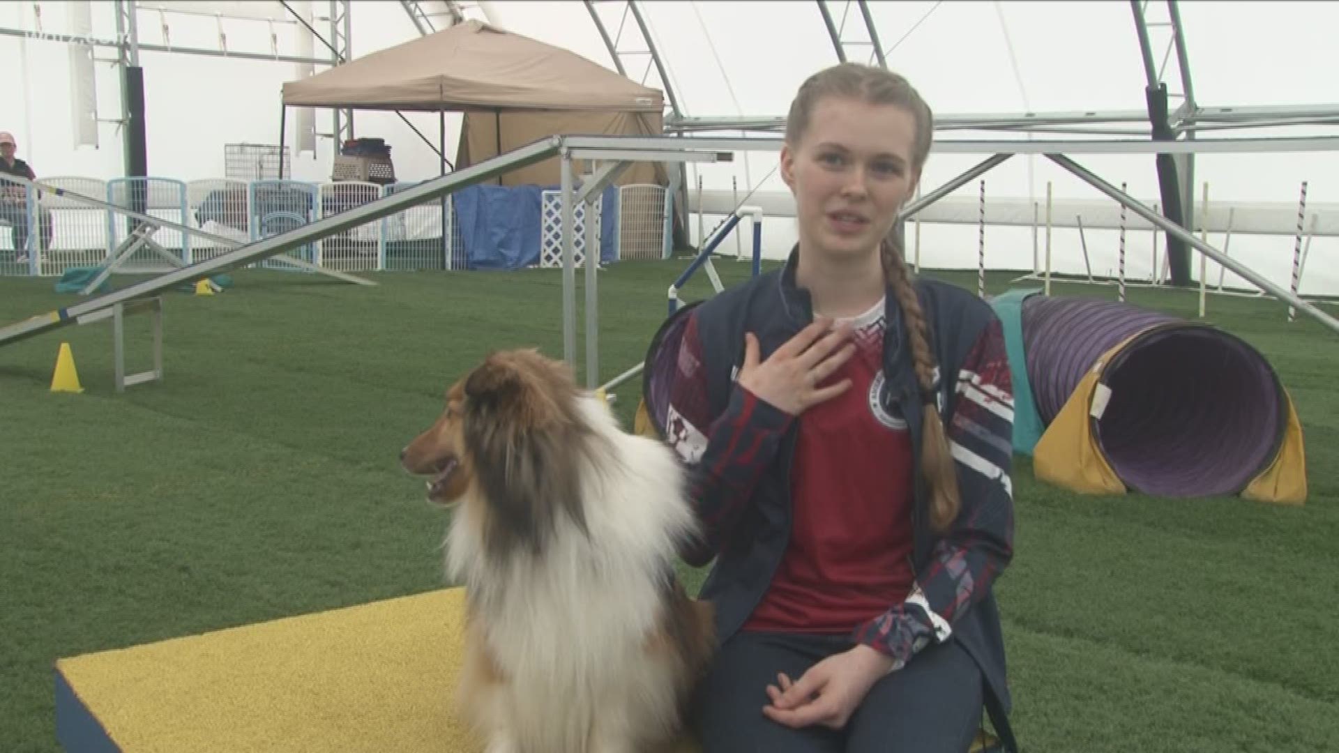 The 15-yr-old from rural Orleans County will go to Switzerland with the Shetland Sheepdog to compete in American Kennel Club’s European Open Juniors Agility contest.