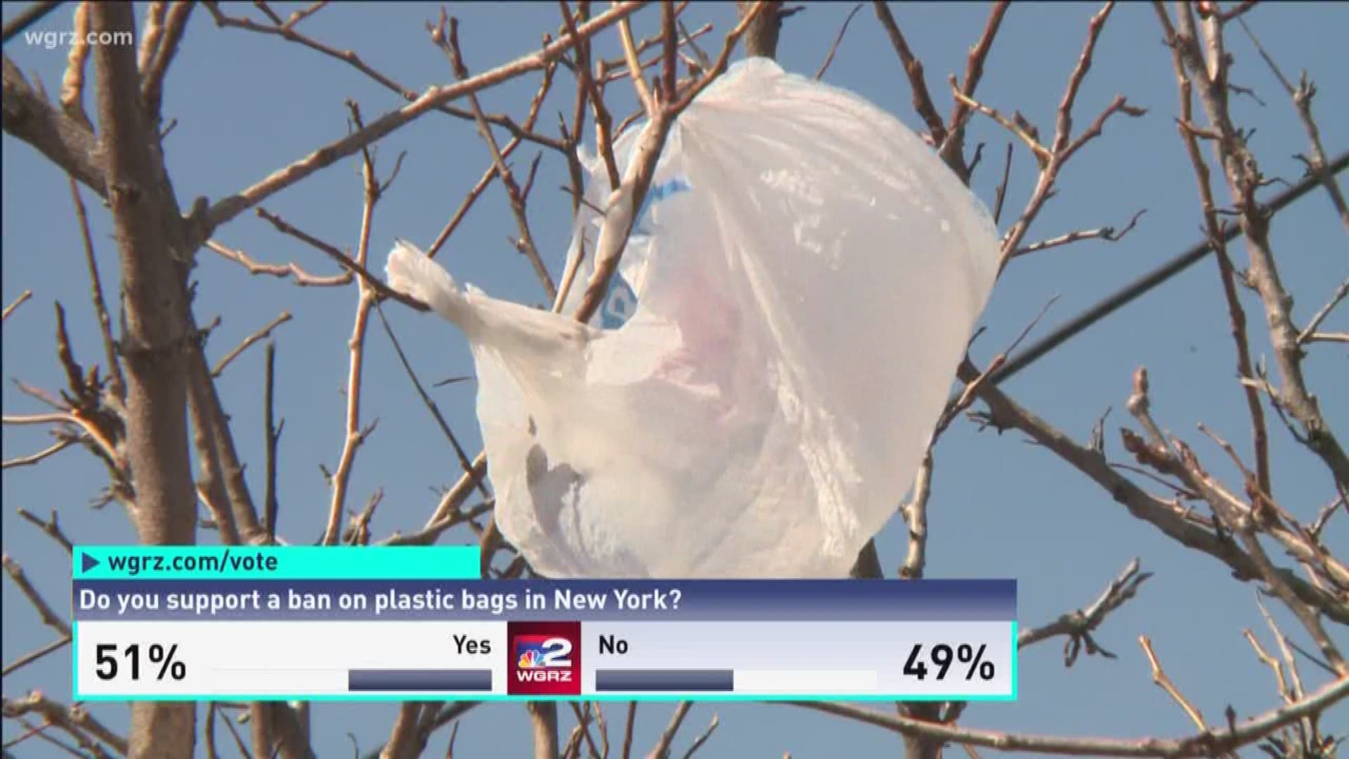 Cuomo proposes plastic bag ban