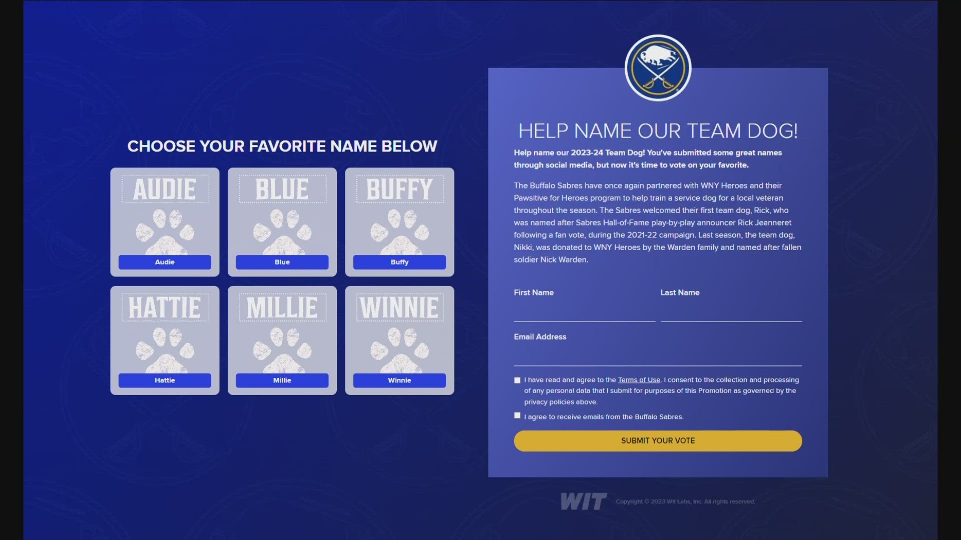 Rick Sabres Pup - Team Dog - Buffalo Sabres