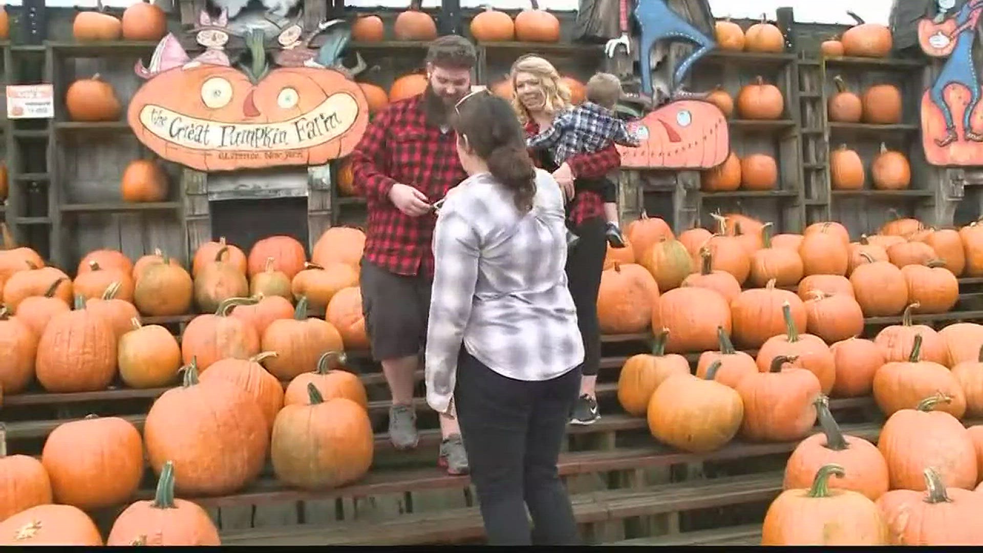 Fall Festival at Great Pumpkin Farm