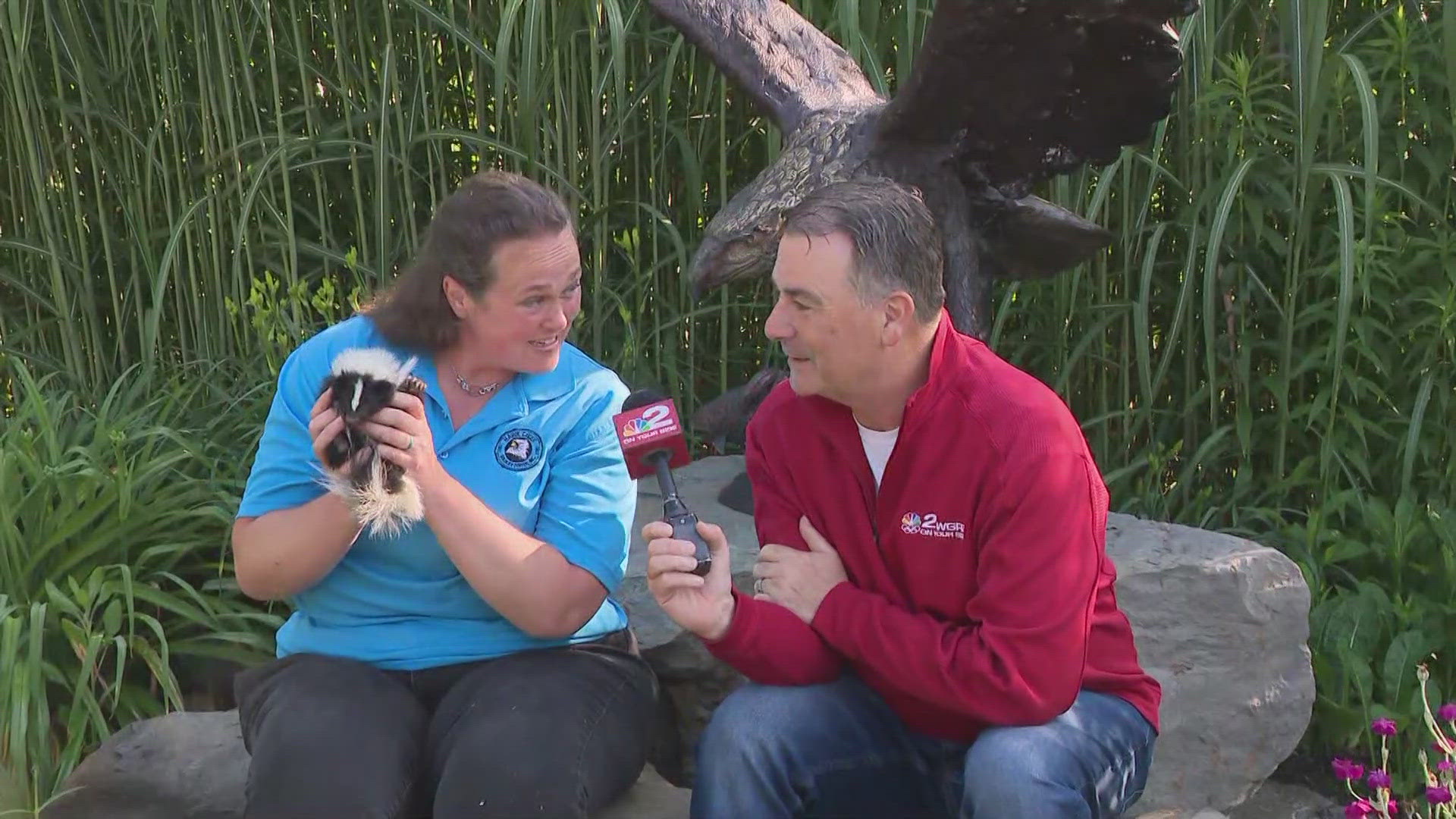 Wander the wild at Hawk Creek Wildlife Center