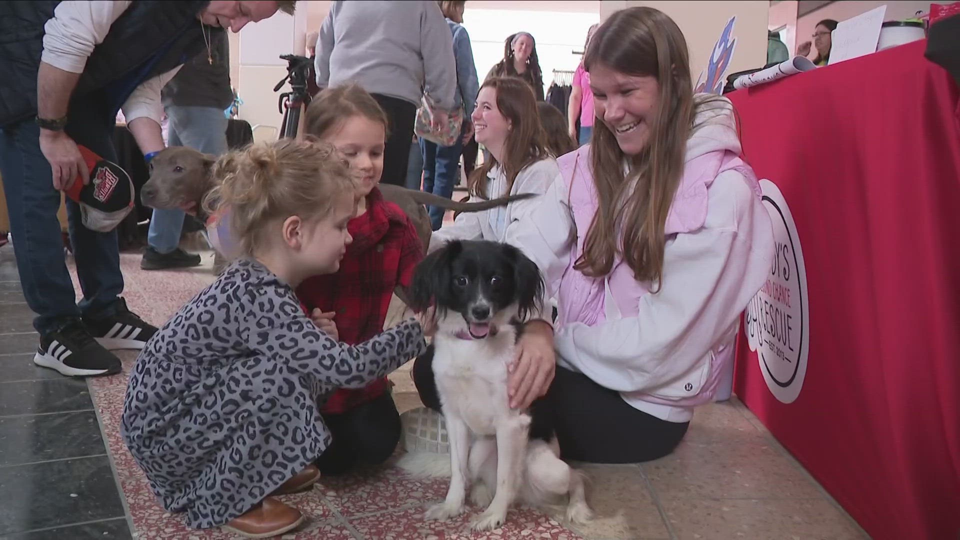 The inaugural event featured 20 local rescues who brought adoptable dogs and cats.