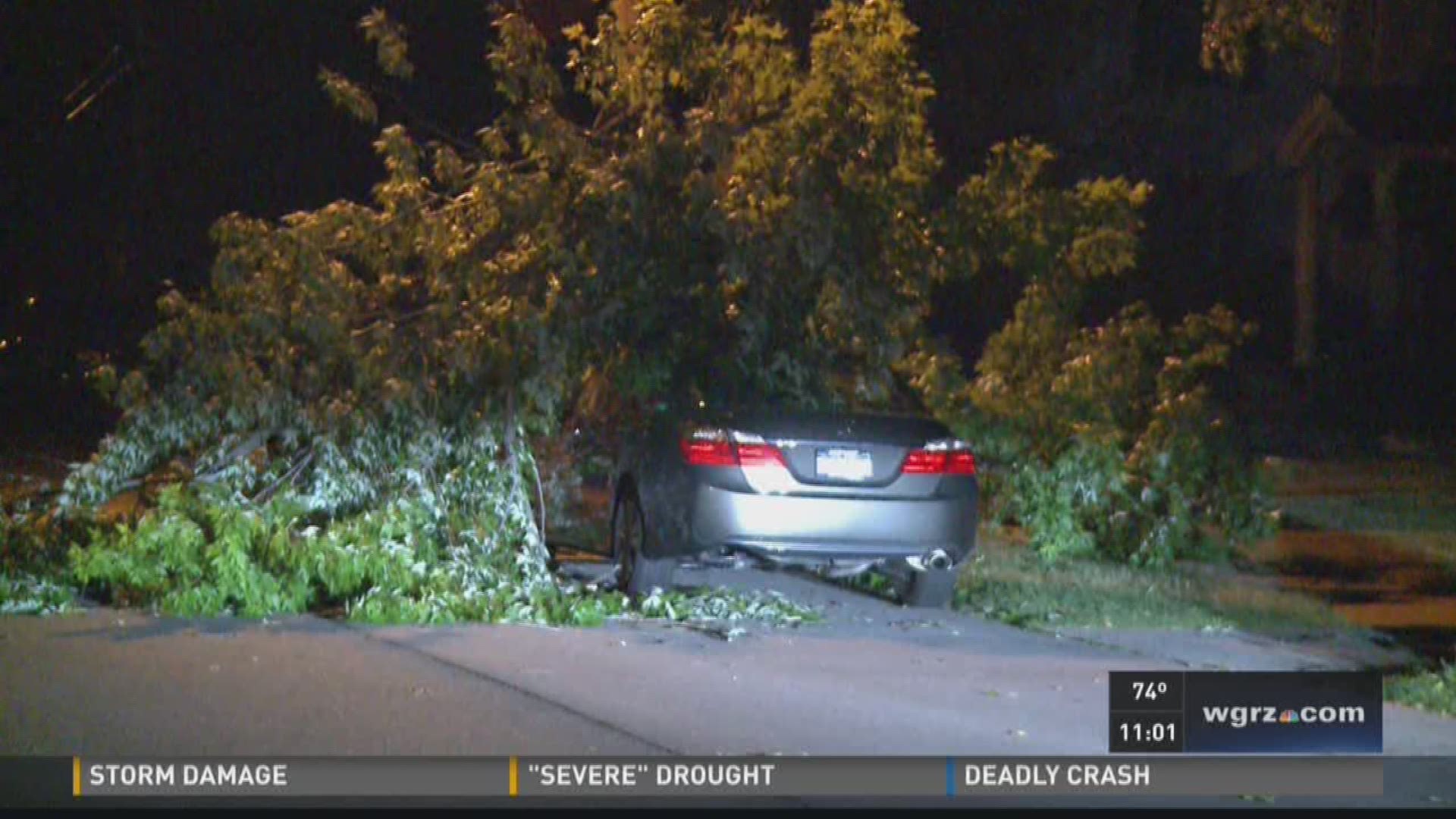 Overnight storms knock out power lines, trees