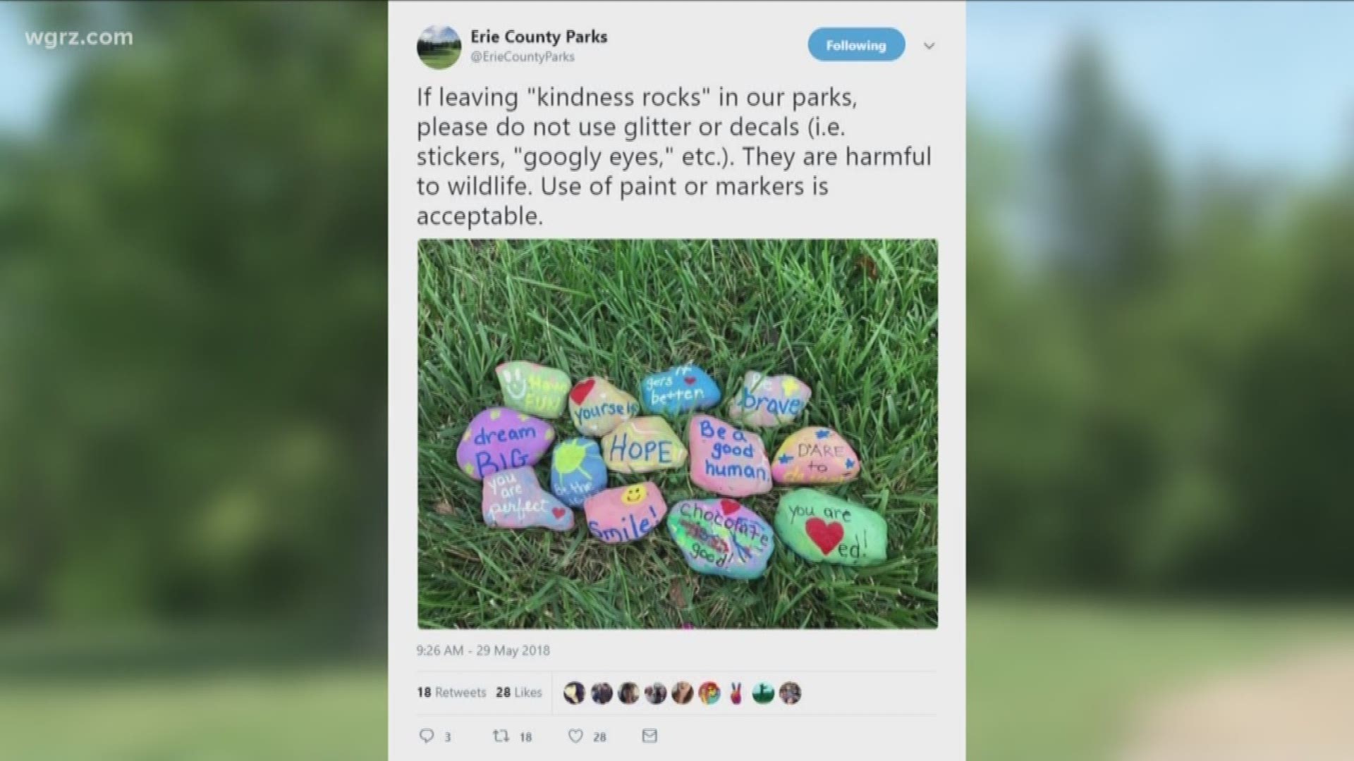 Painted Rock Problems In Erie County Parks