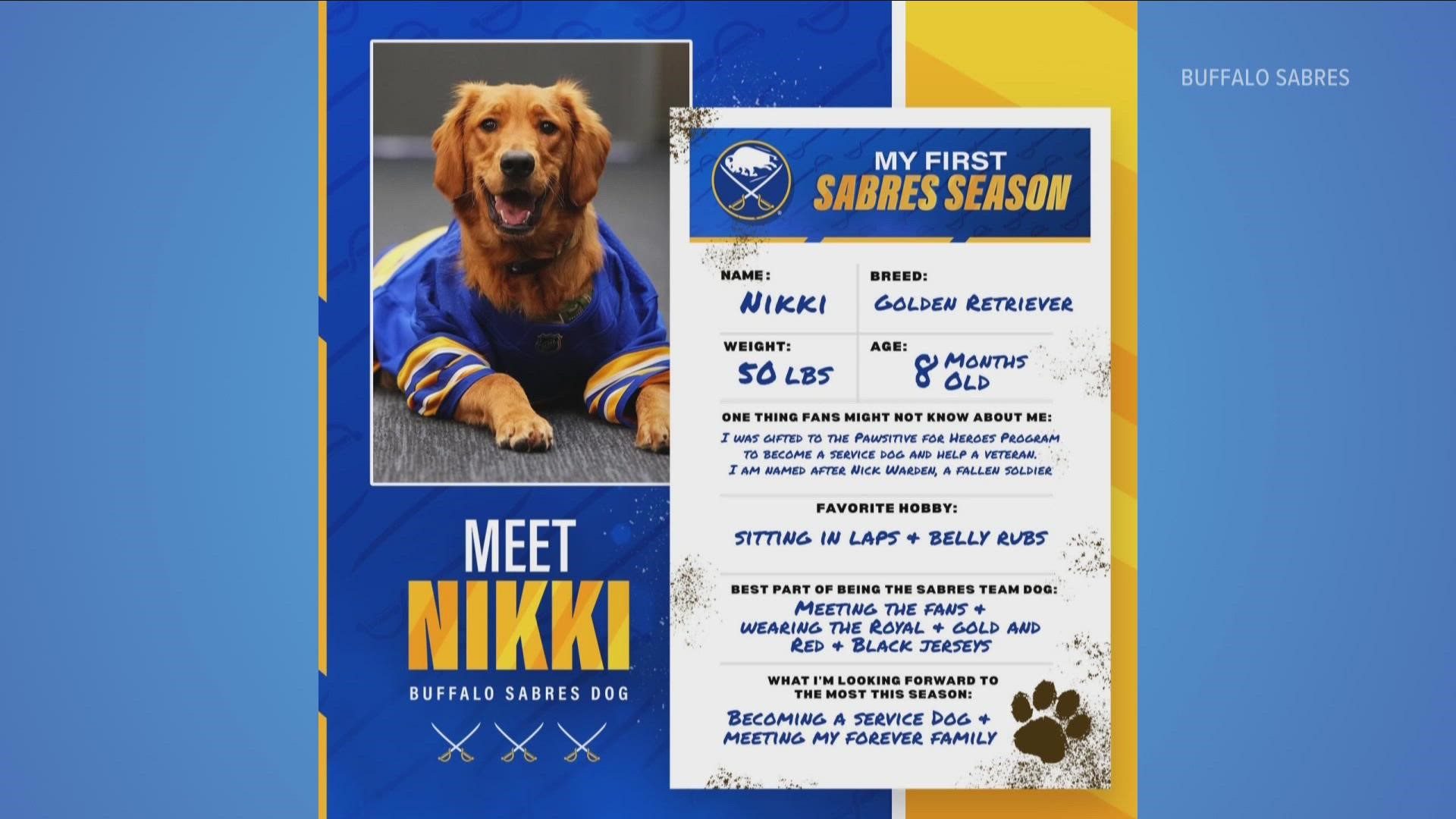 Buffalo Sabres new team pup, Nikki!