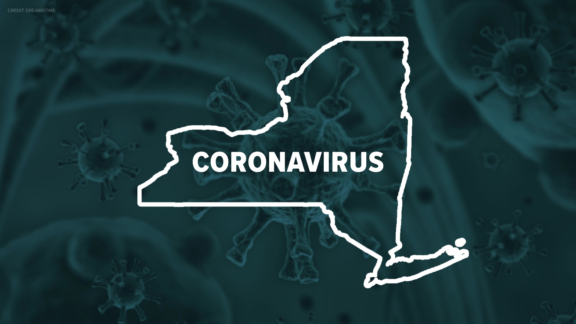 New York COVID19 positivity rate lowest since November 23