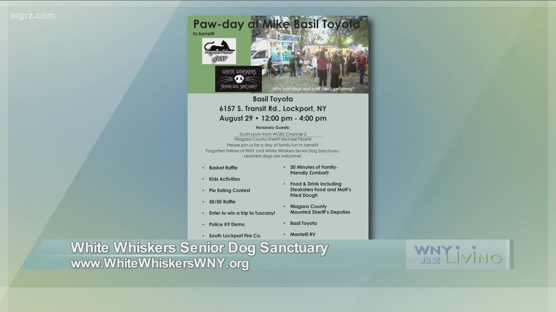 WNY Living - August 14 - Cellino Plumbing & HVAC/White Whiskers Senior Dog Sanctuary (THIS VIDEO IS SPONSORED BY CELLINO PLUMBING & HVAC)