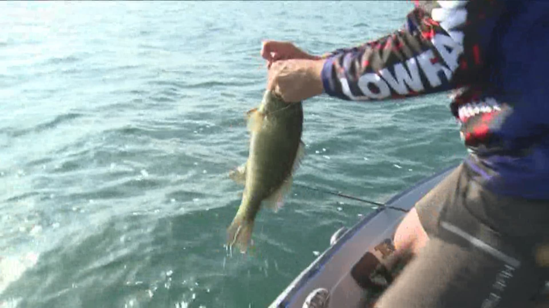 Smallmouth Bass Fishing Tournament In Buffalo