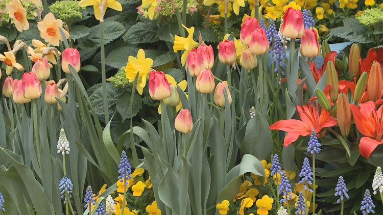 Buffalo and Erie County Botanical Gardens getting gardens ready for spring show