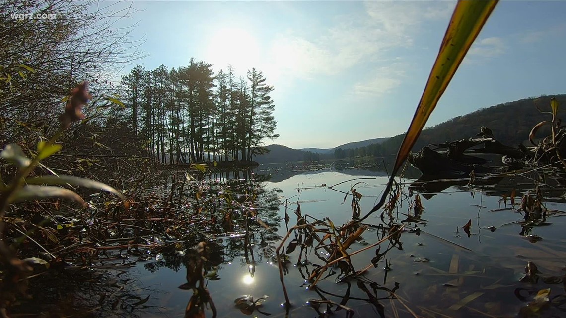 New Allegany State Park trail to - 31b9772e 4a94 4b8a 87ab Ea63979d831b 1140x641