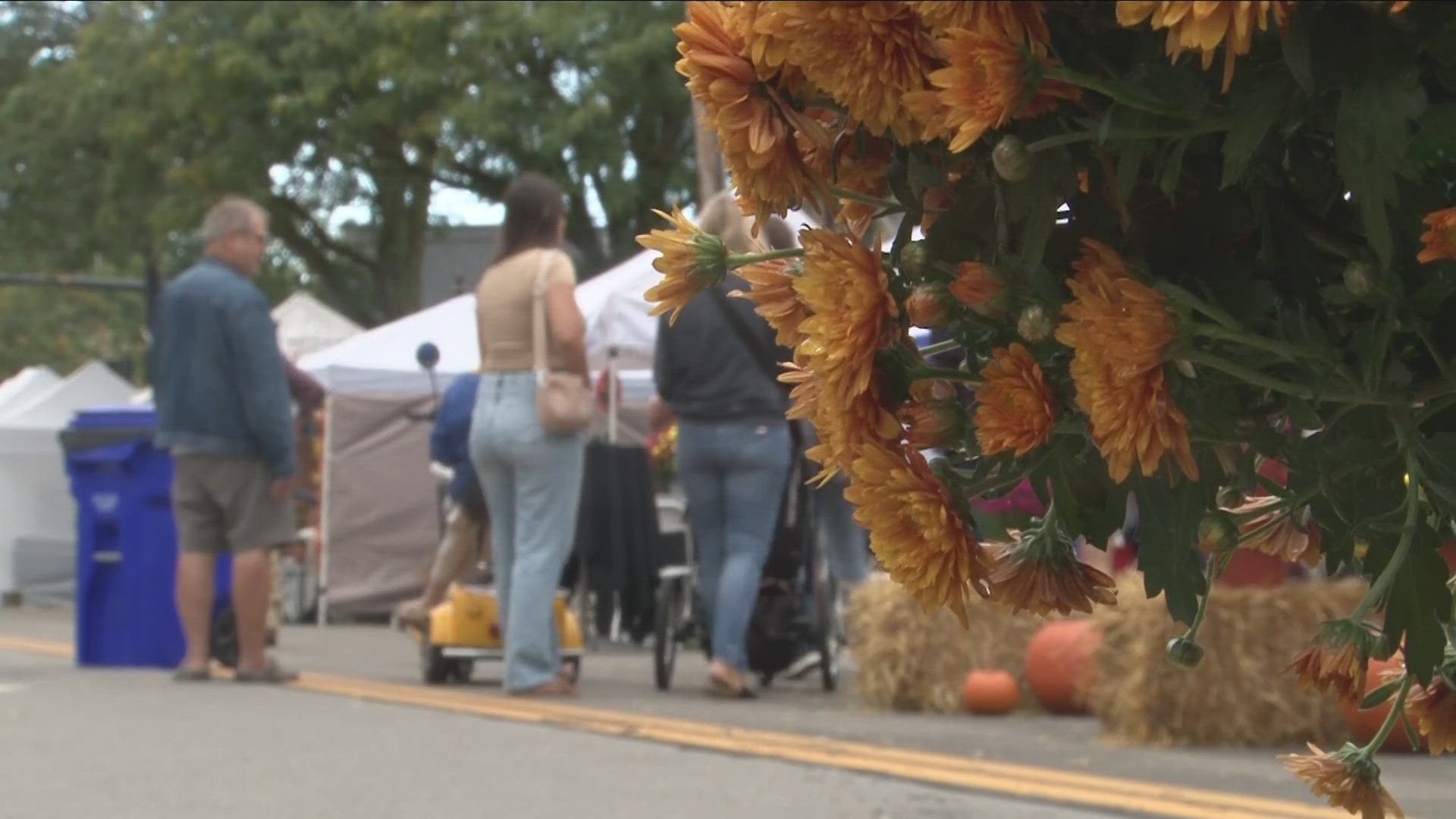 The festival featured live music, local brews, and a farmer's market.