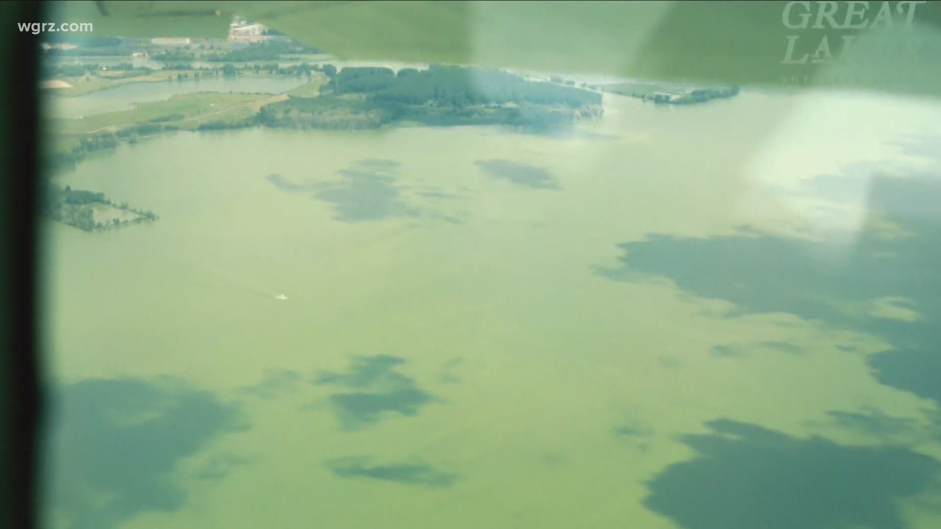 Businesses concerned over Lake Erie algae