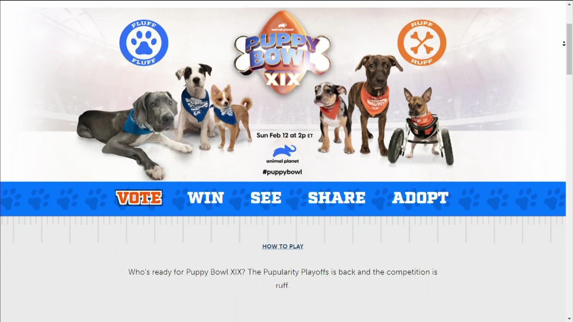 2 WNY puppies have chance to play in Animal Planet's Puppy Bowl 