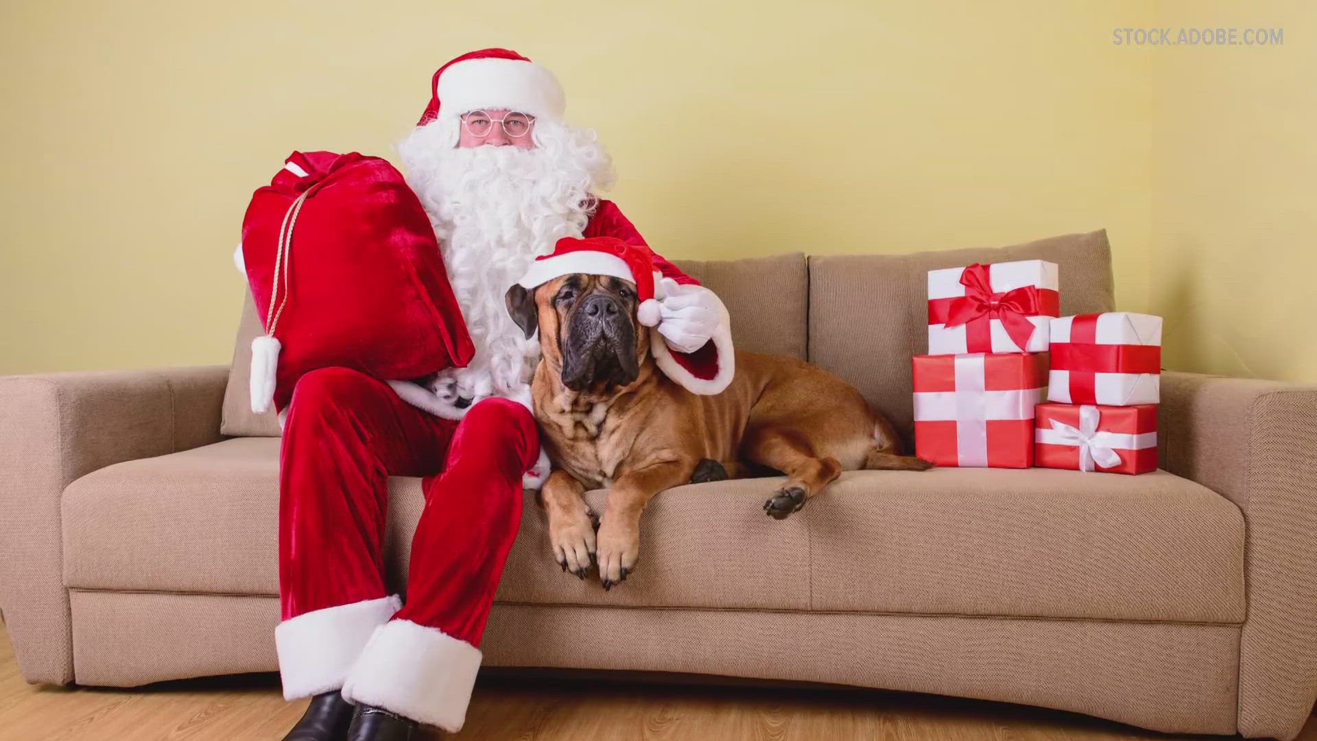 Lancaster Unleashed is offering an opportunity for your pet to meet Santa