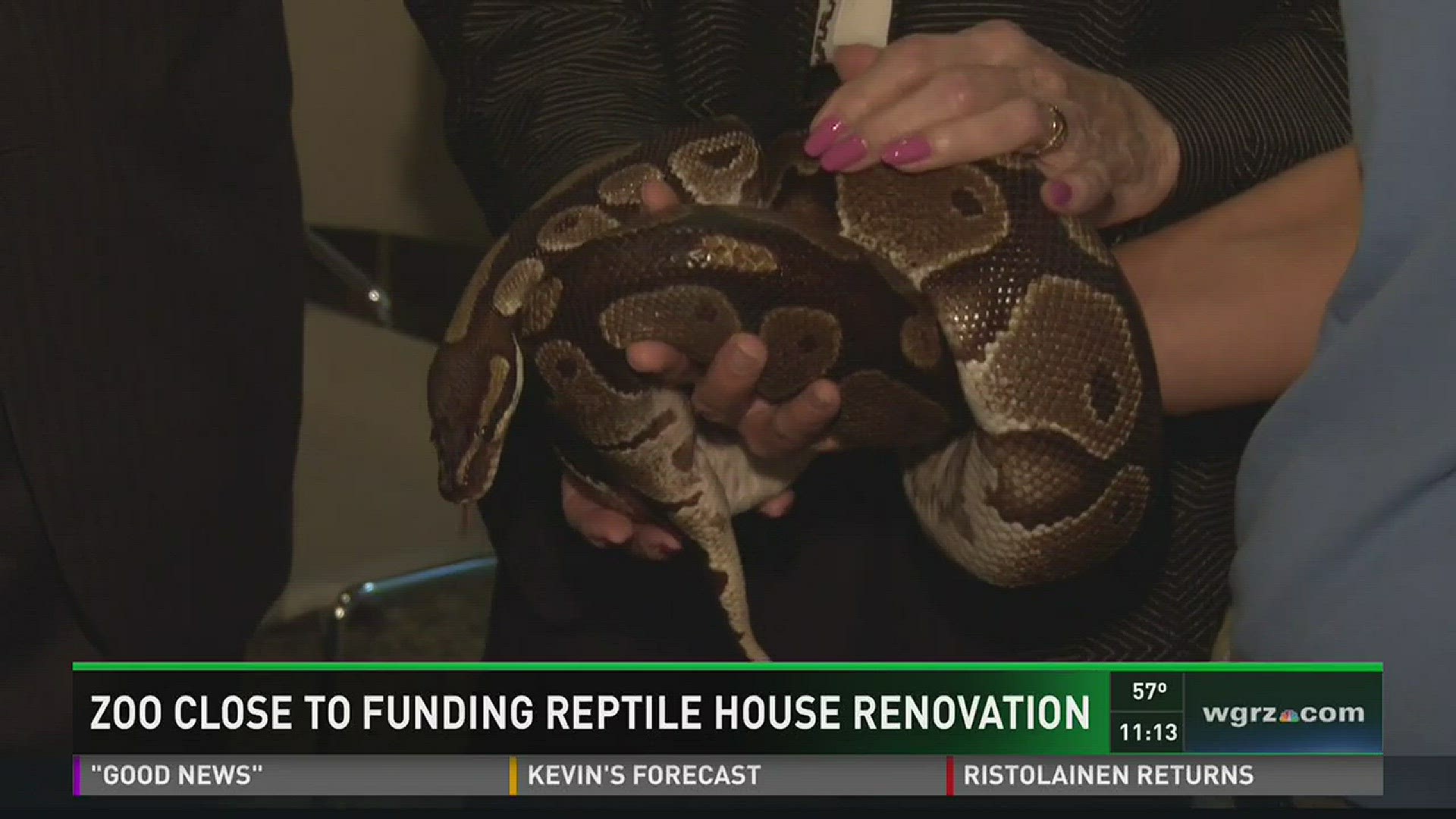 Zoo Close To Funding Reptile House Renovation