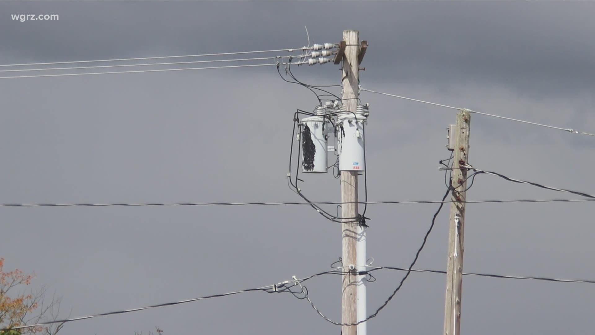 Fees to access utility poles have skyrocketed in New York State in recent years, lawmakers passed a bill aimed to reign in those fees.
