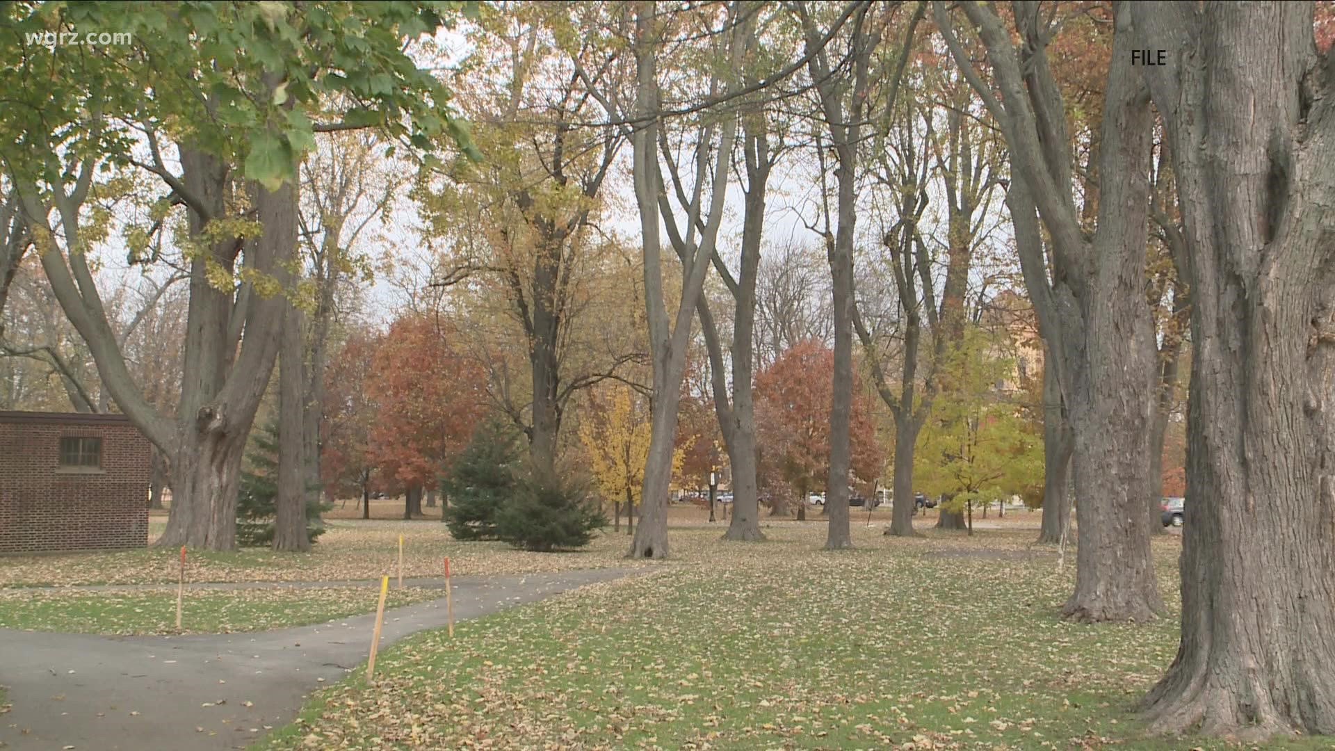 Pints in the Park tonight at Cazenovia Park | wgrz.com