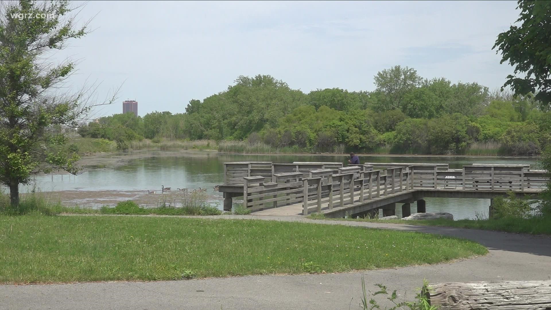 It's a nice little oasis not too far from the Queen City where you can enjoy hiking, fishing and nature.